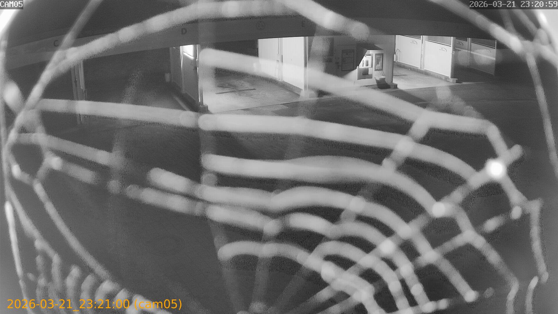 thumbnail_20260321232100