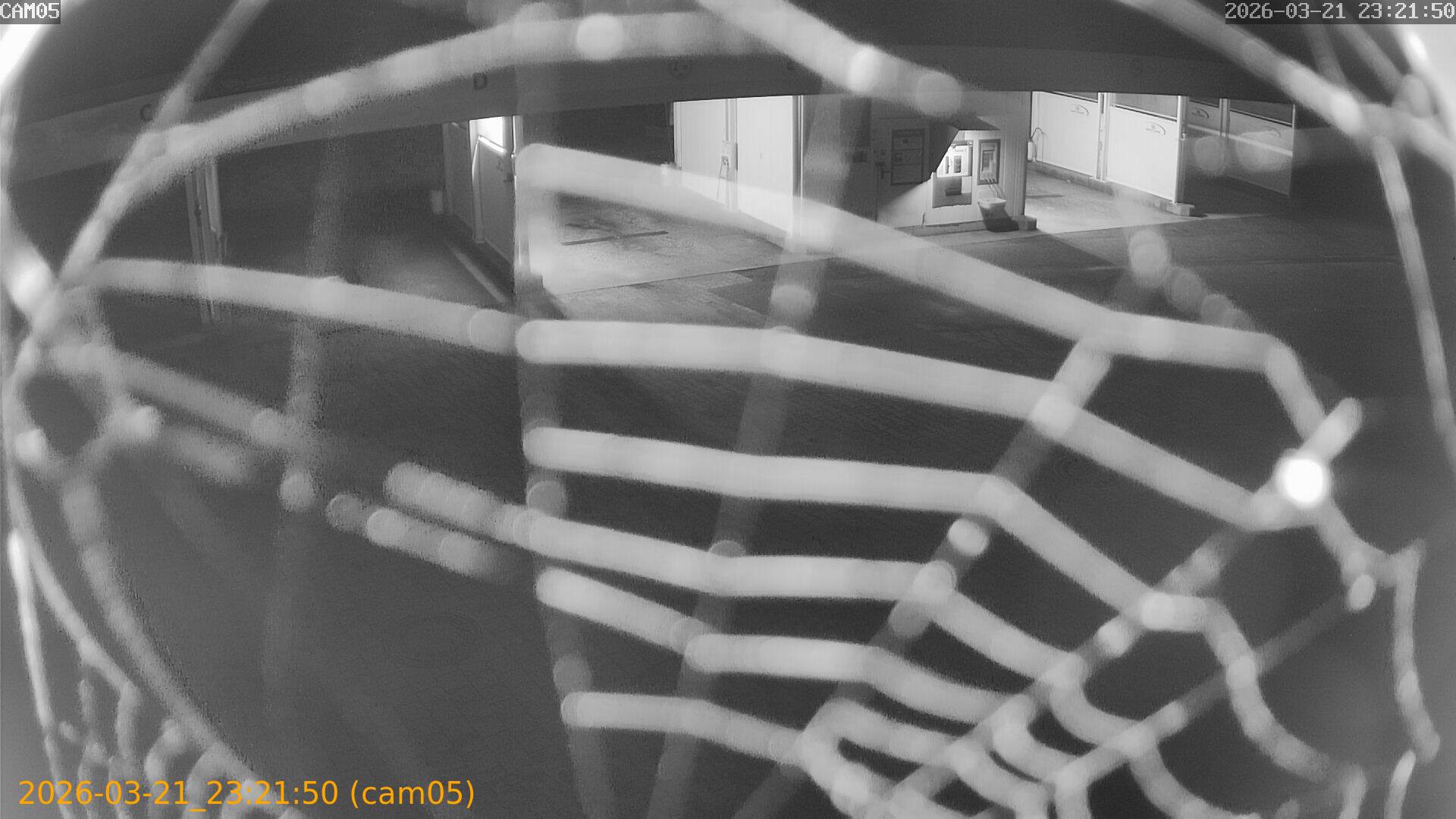 thumbnail_20260321232150