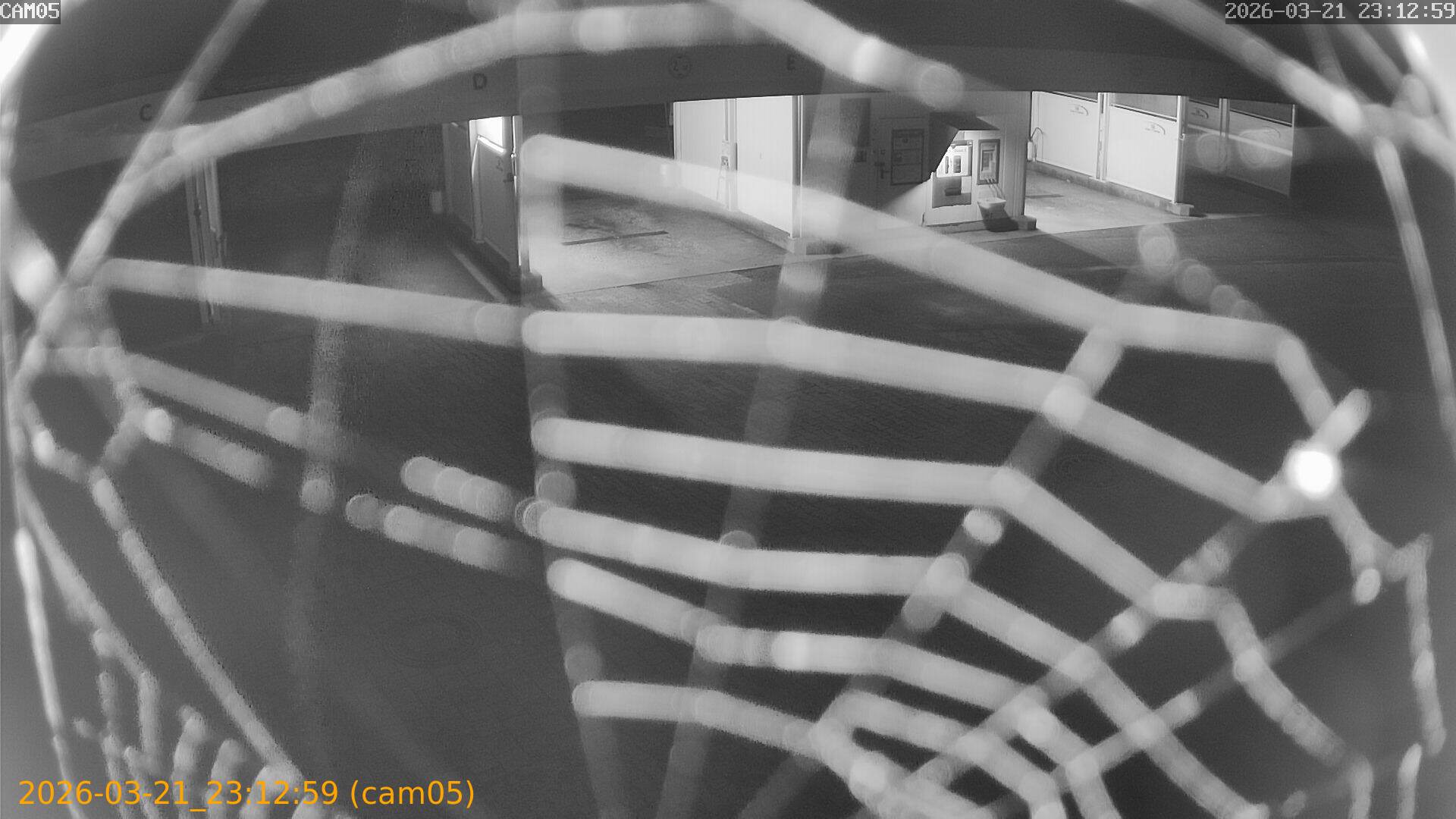 thumbnail_202603212312