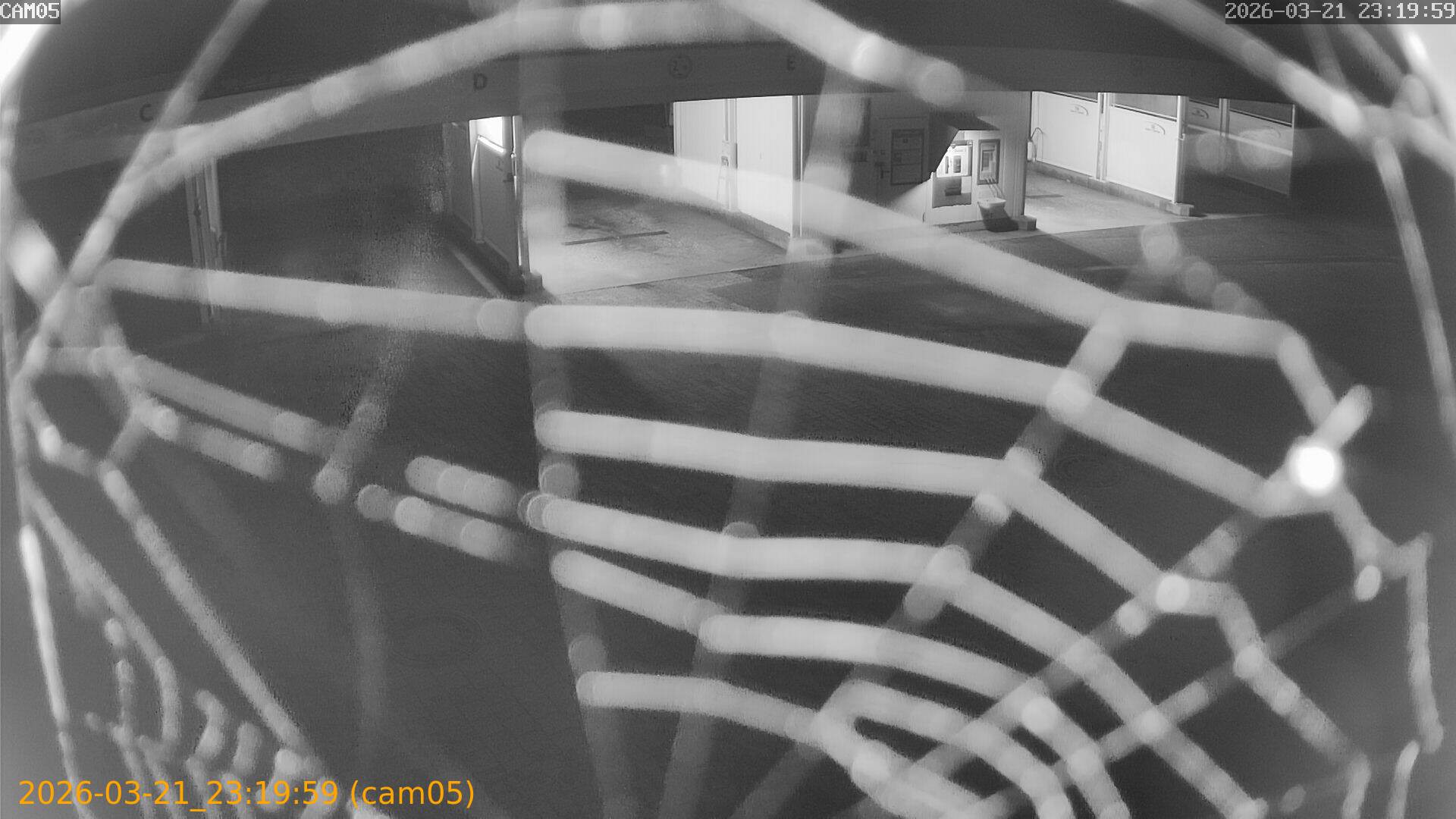 thumbnail_202603212319