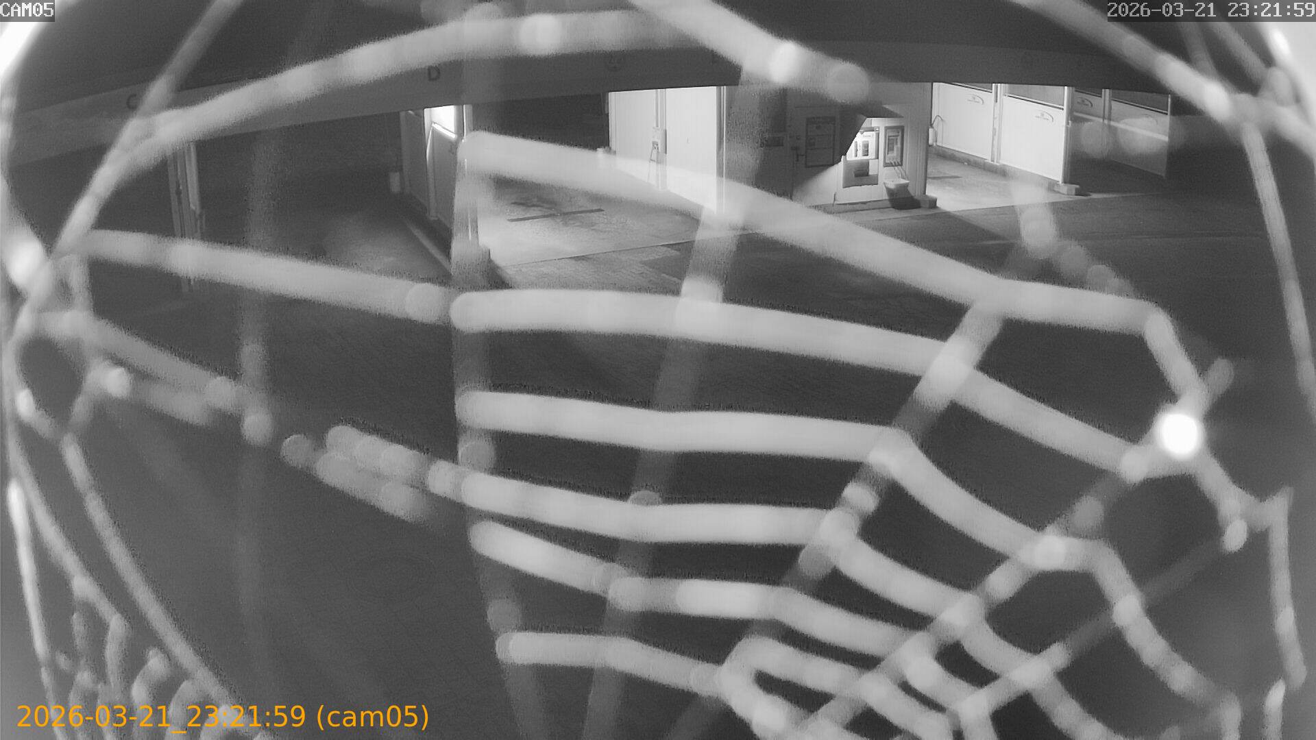 thumbnail_202603212321