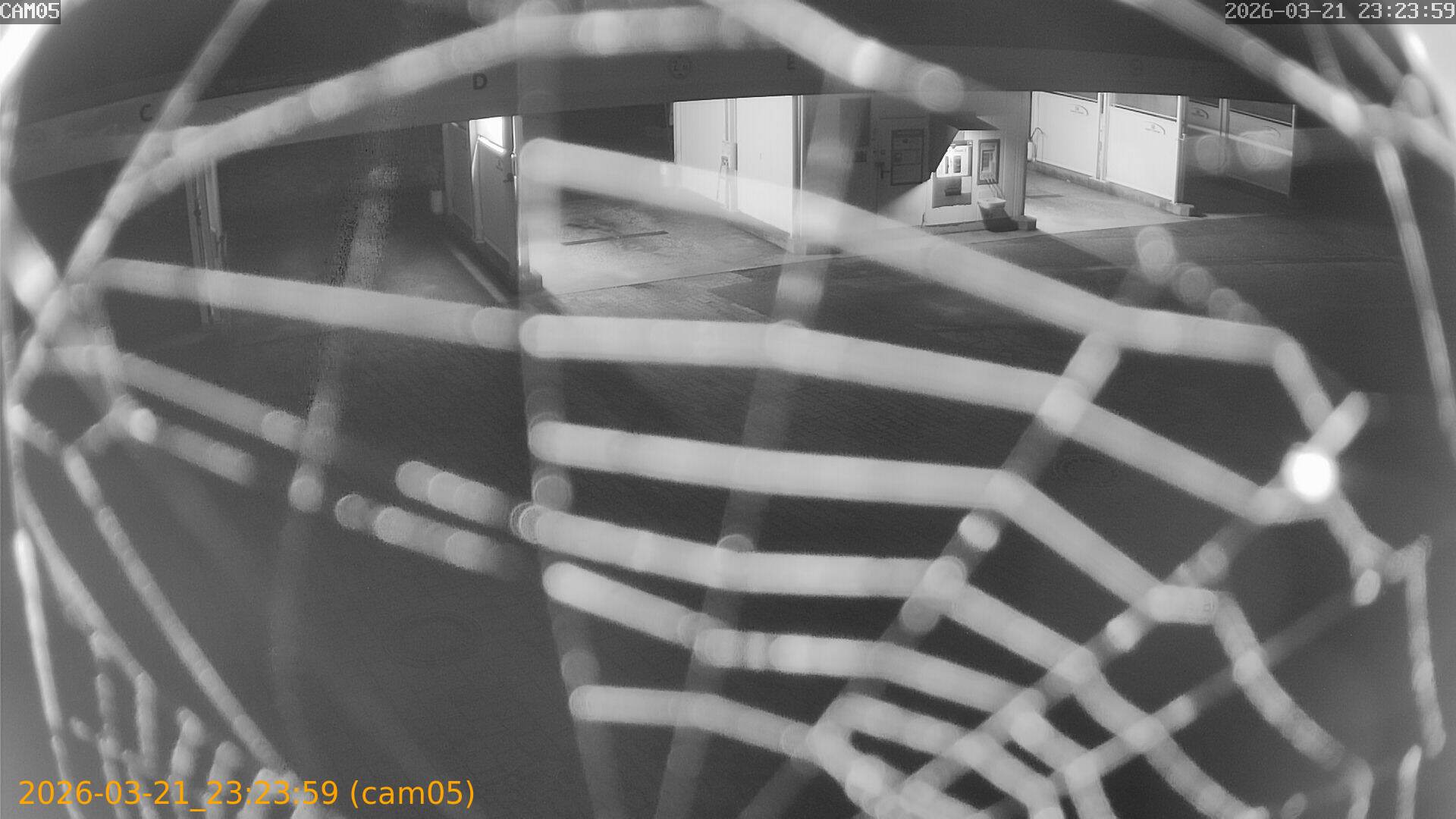 thumbnail_202603212323