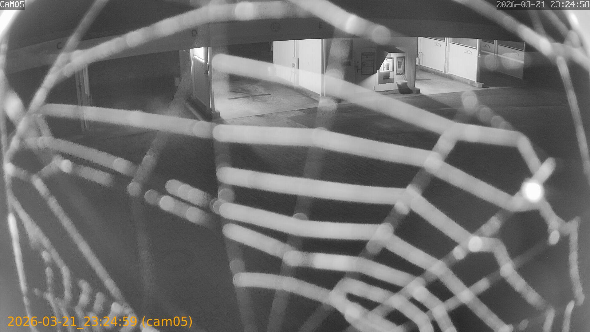 thumbnail_202603212324