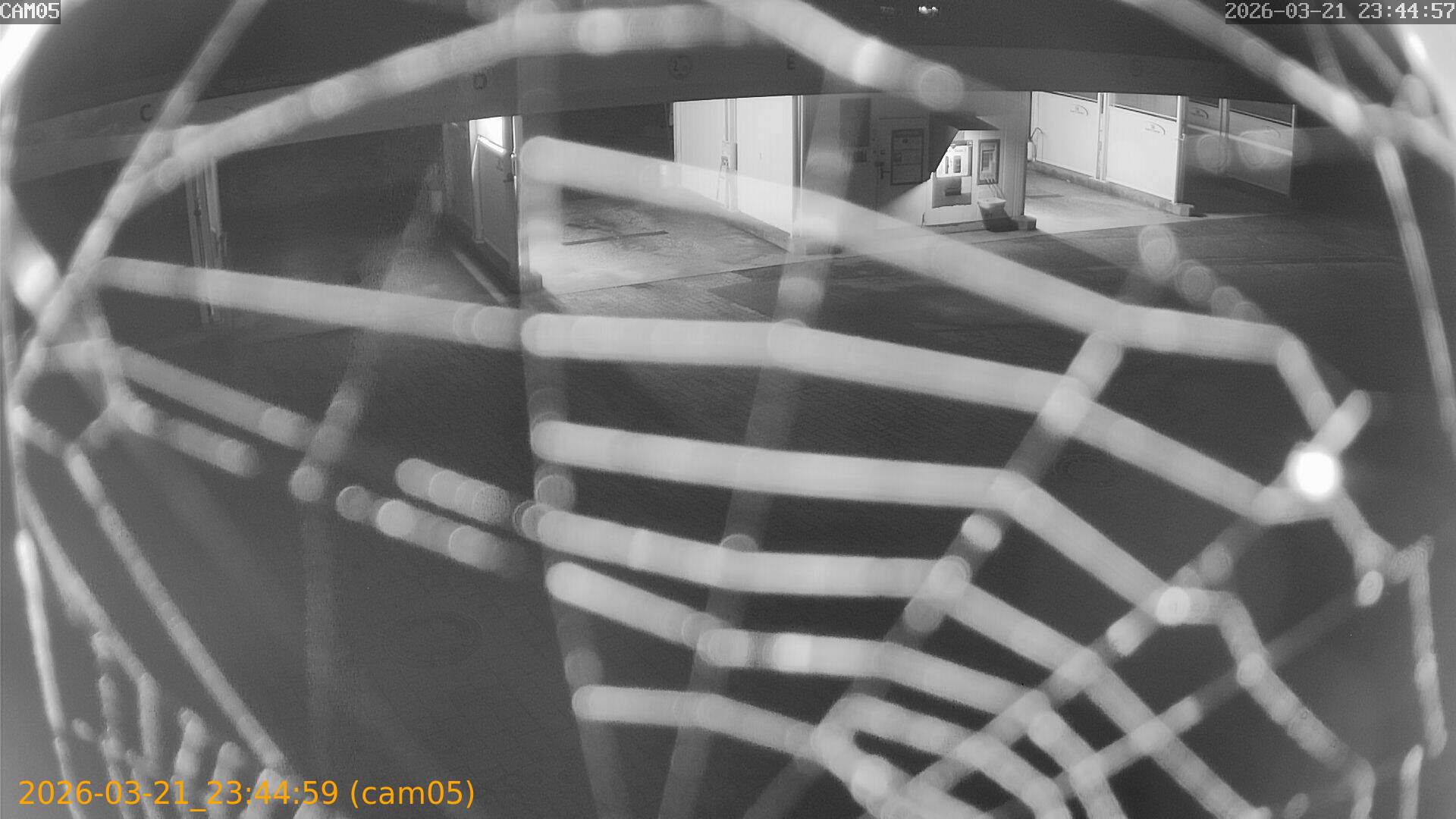 thumbnail_202603212344