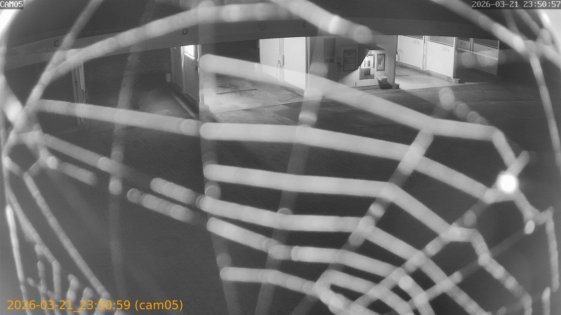 thumbnail_202603212350