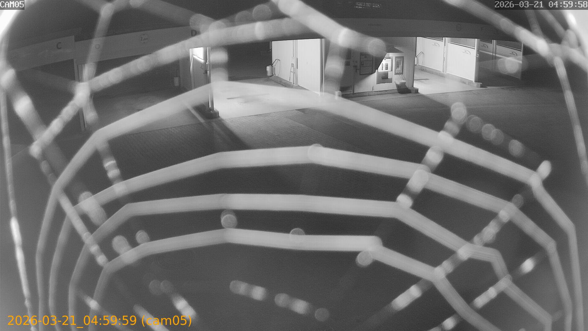 thumbnail_2026032104