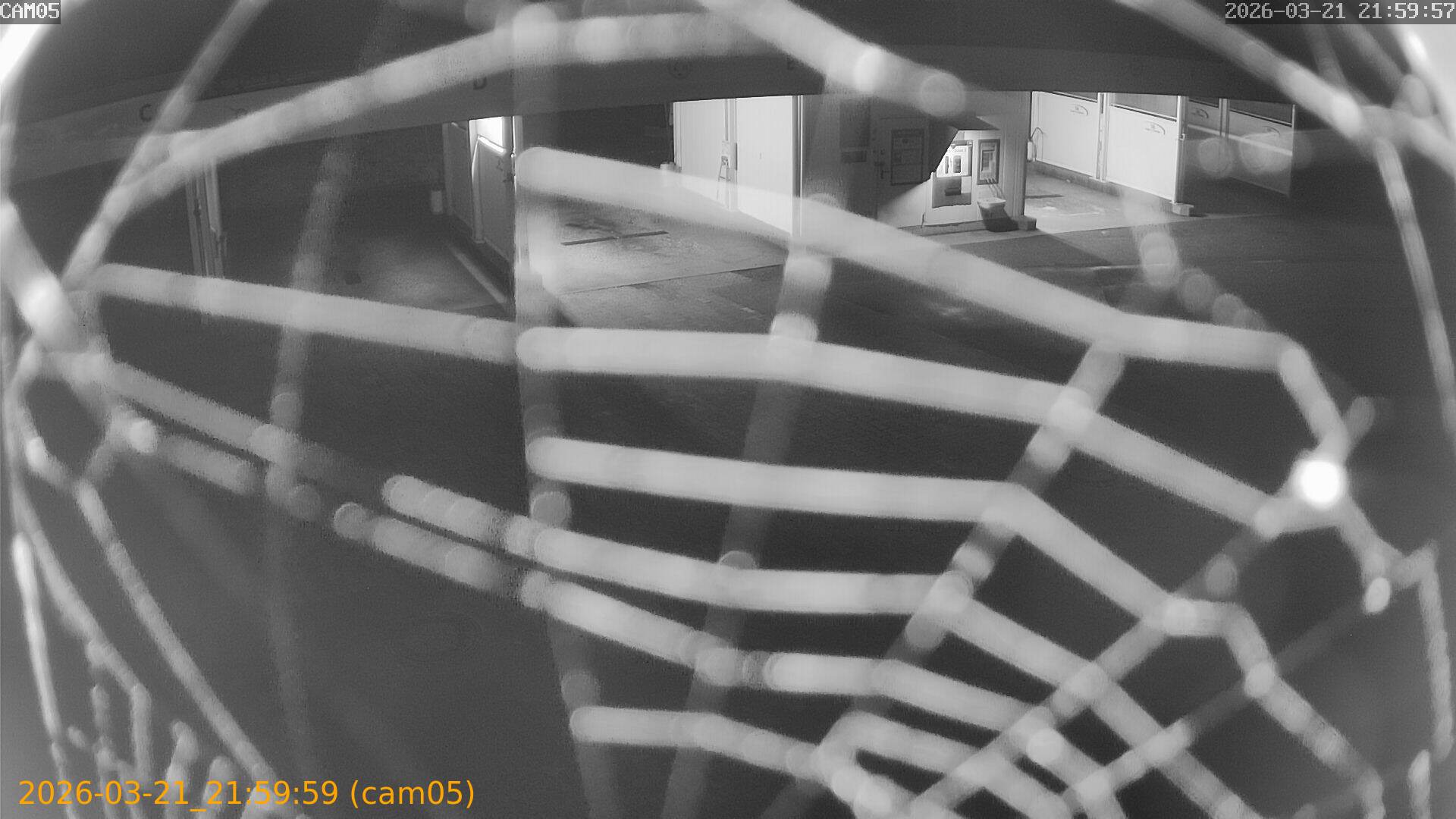 thumbnail_2026032121