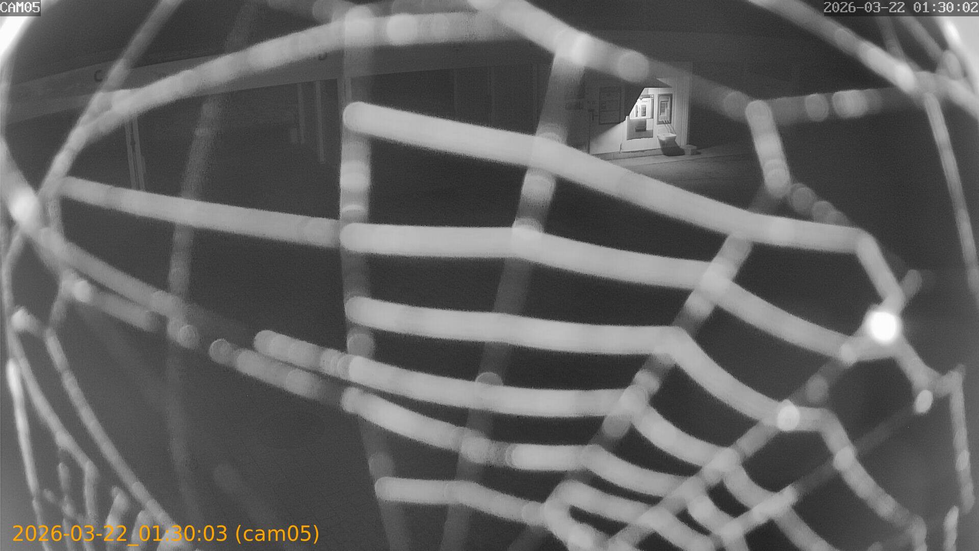 thumbnail_20260322013003