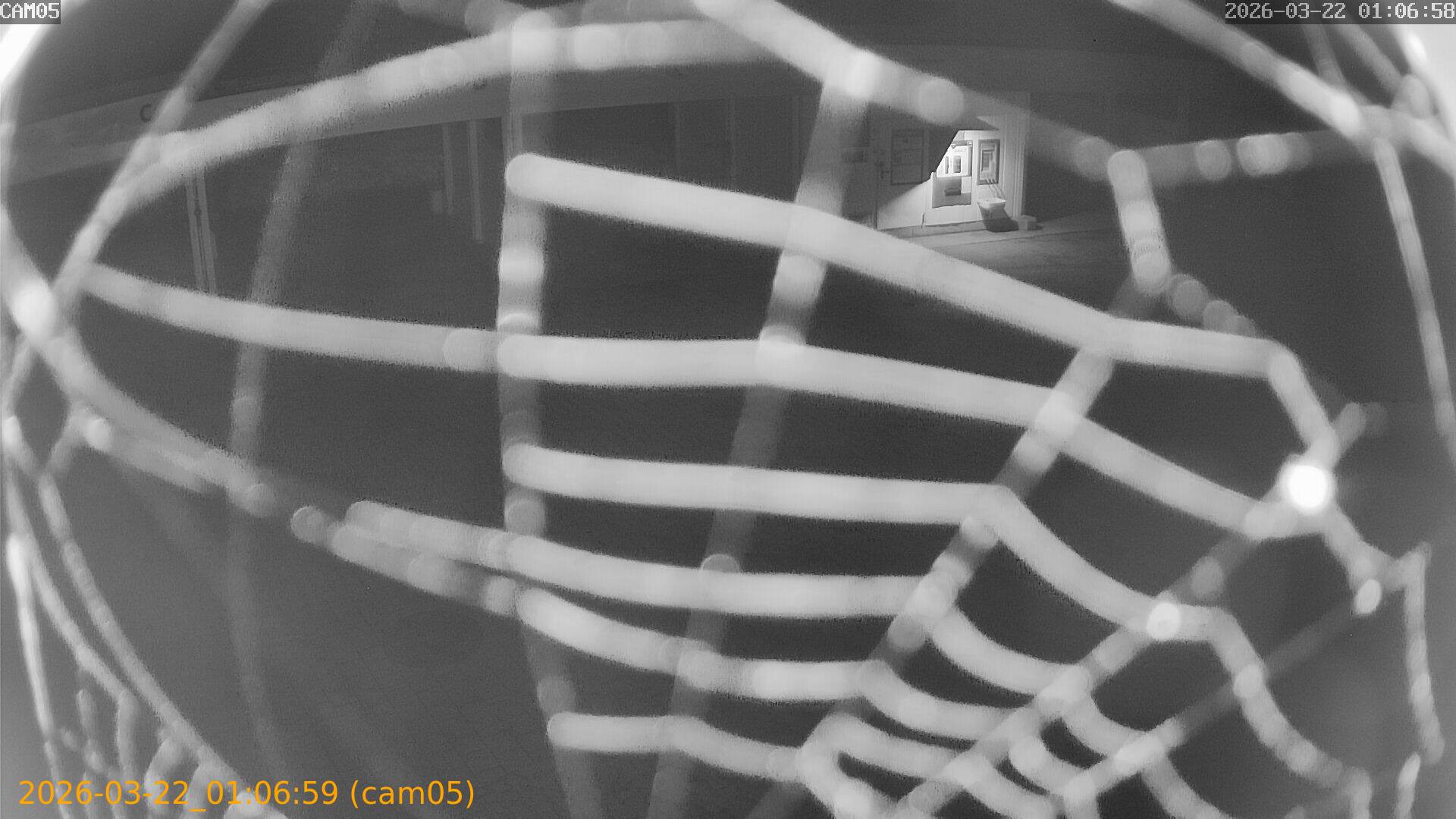 thumbnail_202603220106