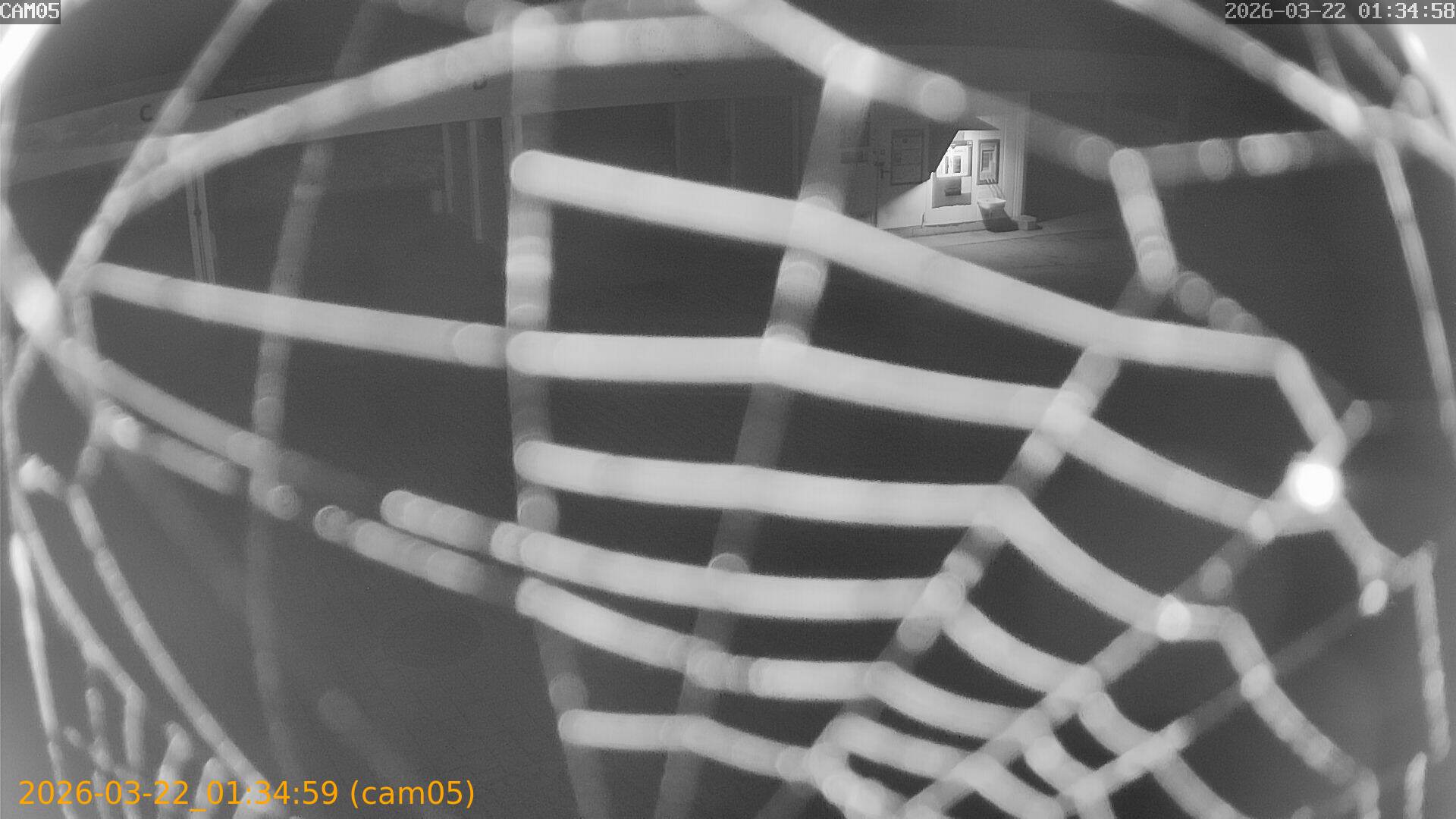 thumbnail_202603220134