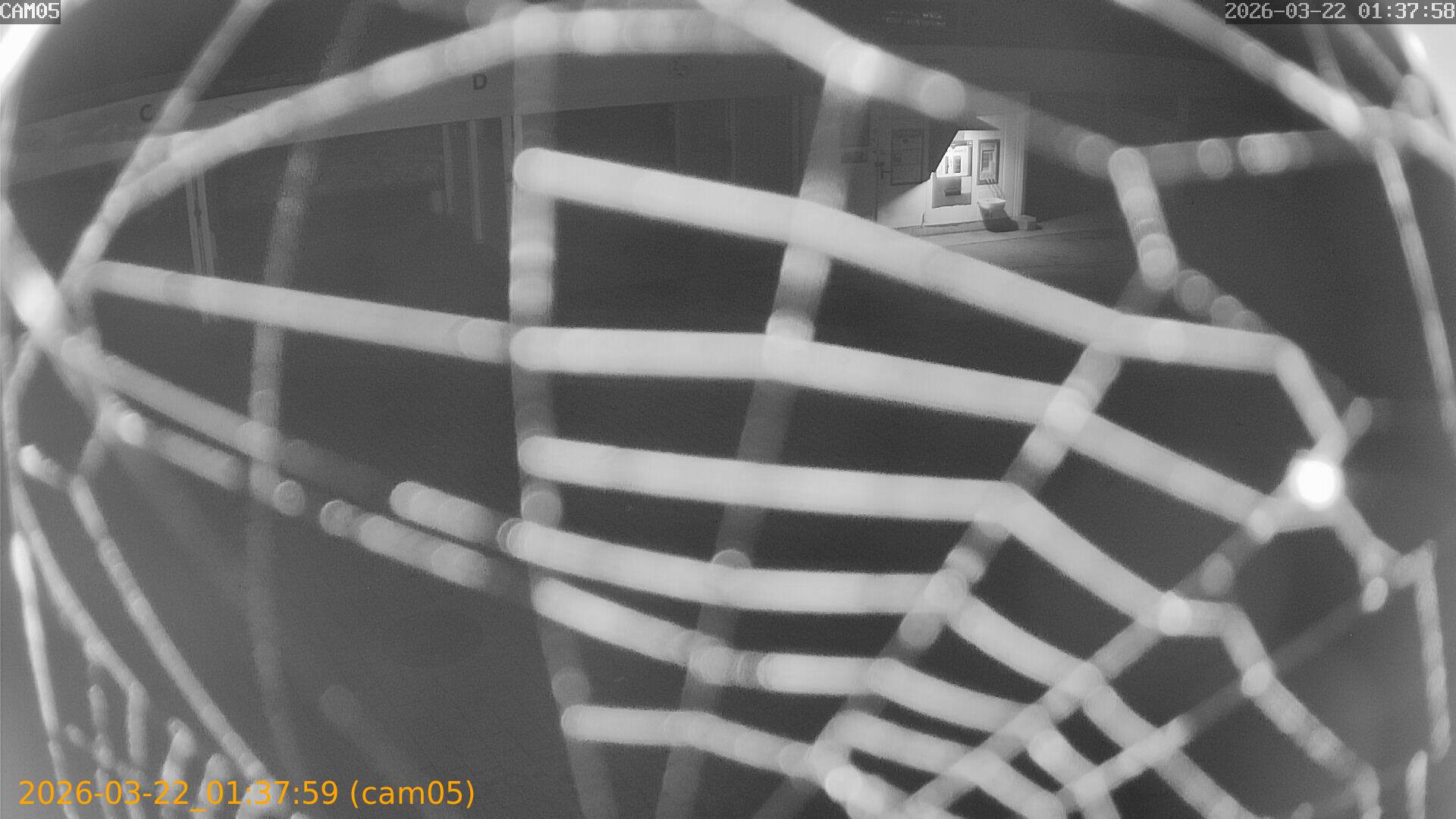 thumbnail_202603220137