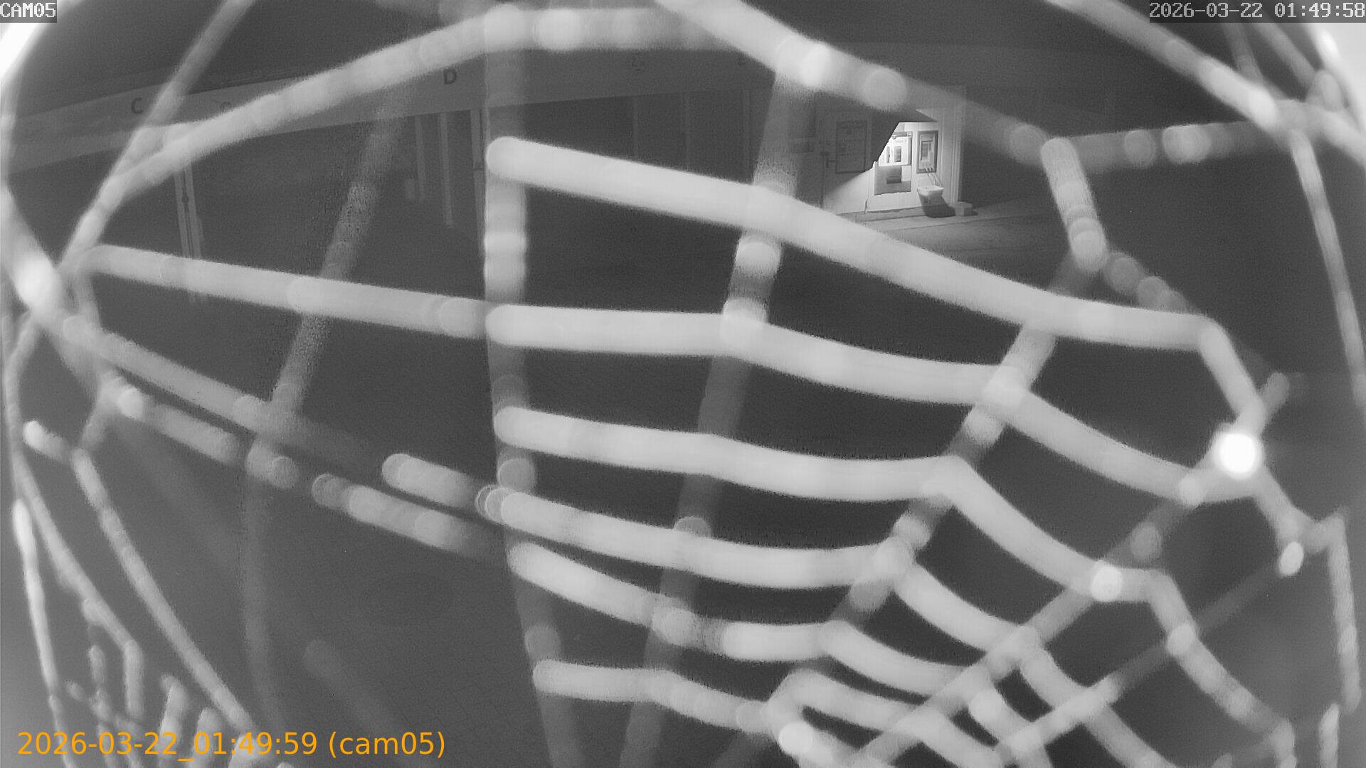 thumbnail_202603220149