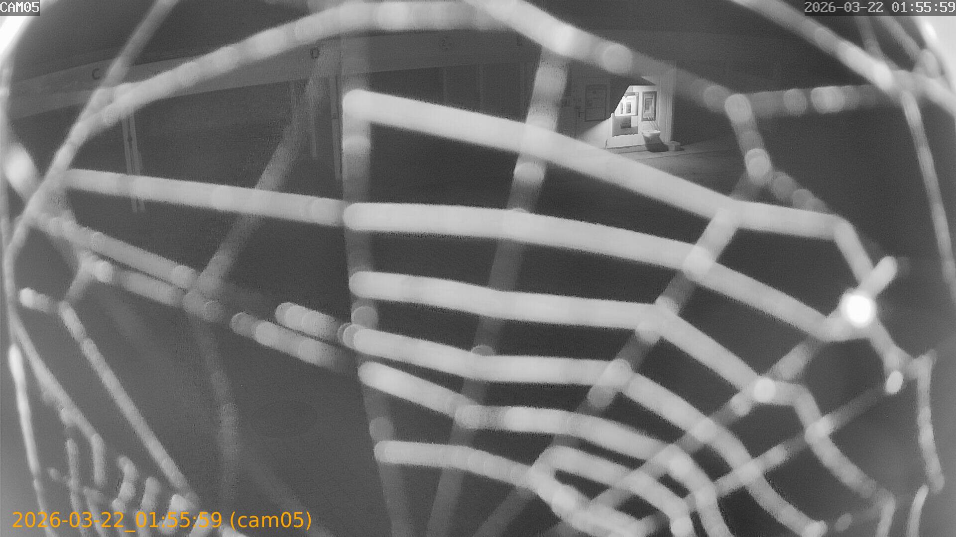 thumbnail_202603220155