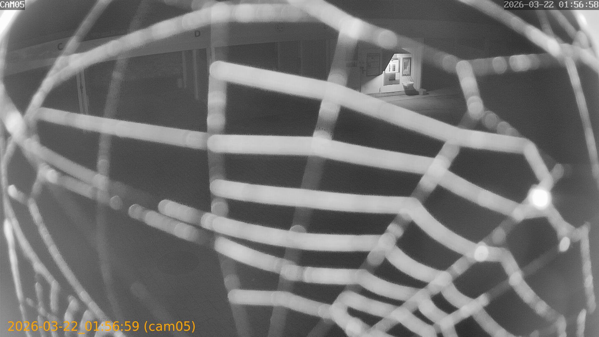 thumbnail_202603220156