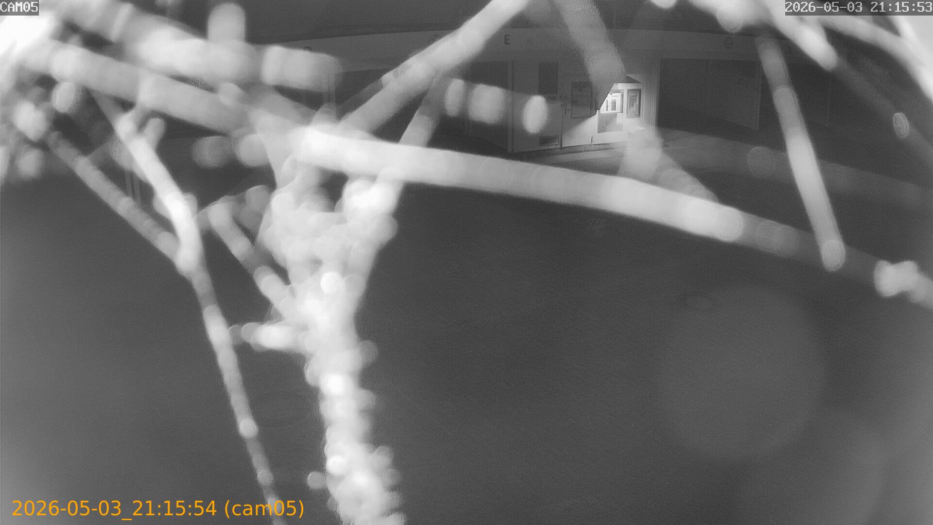 thumbnail_20260503211554