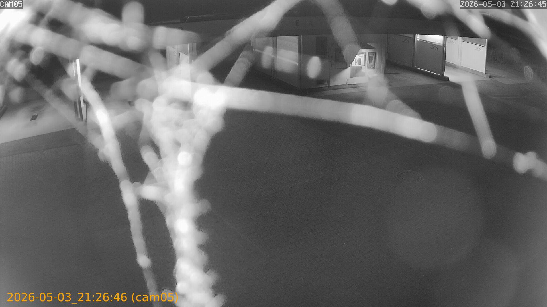 20260503212646