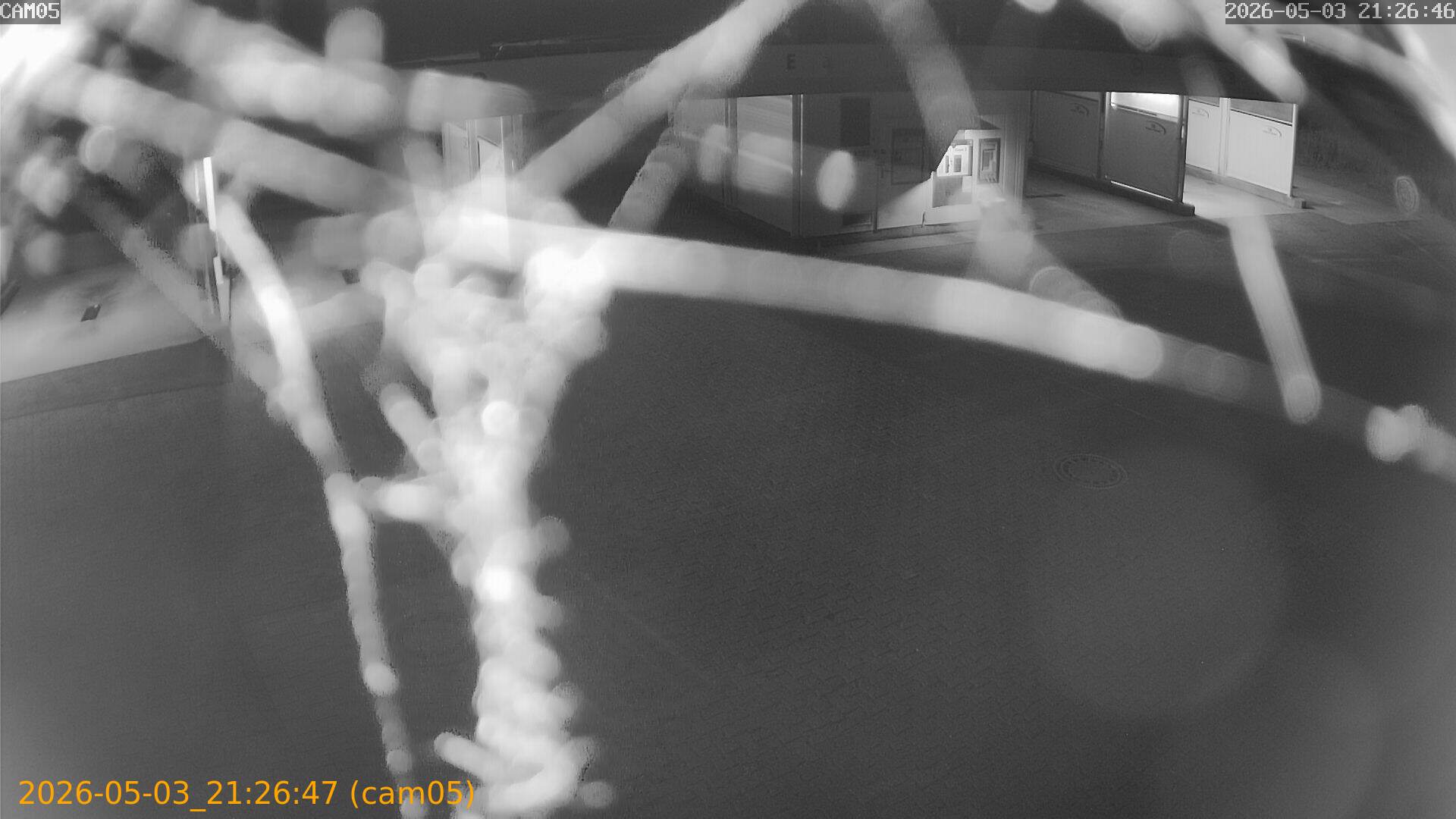 20260503212647