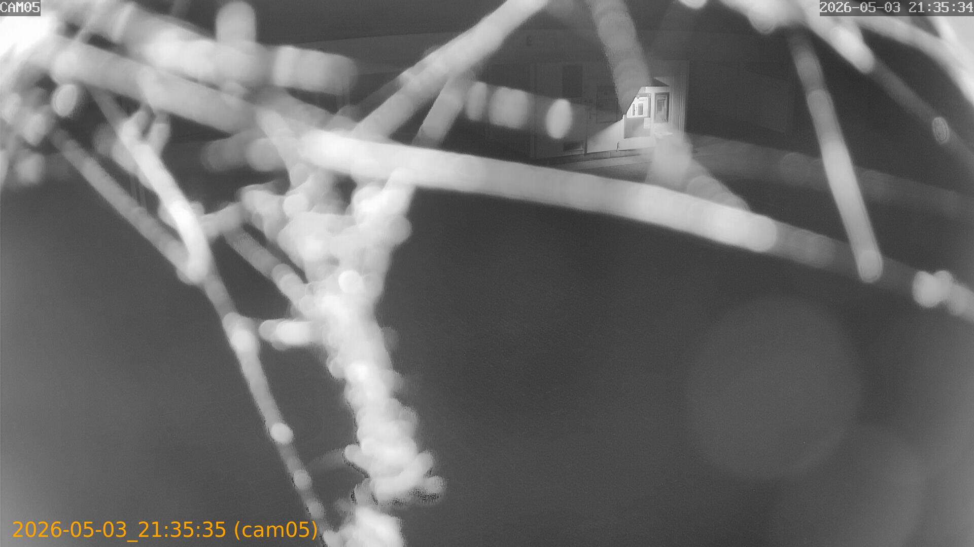 20260503213535