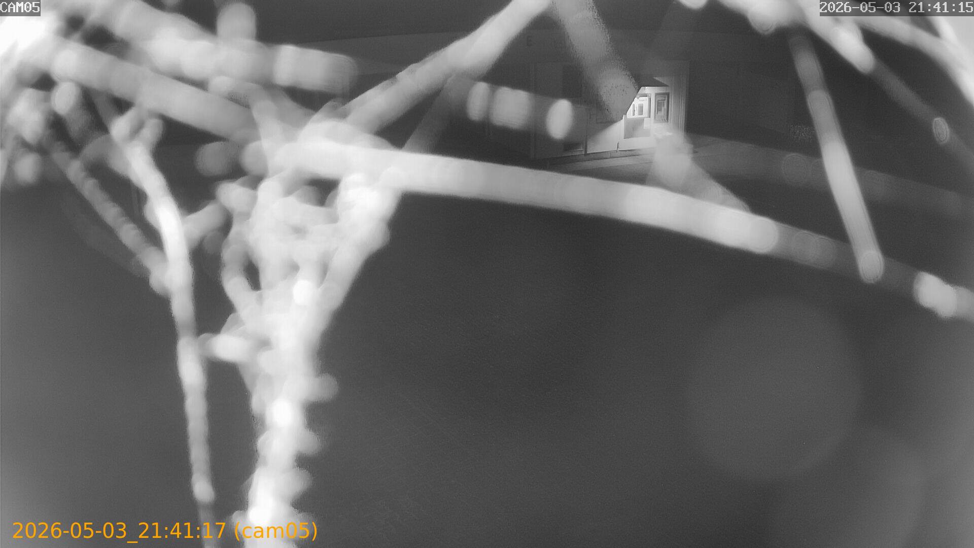 20260503214117