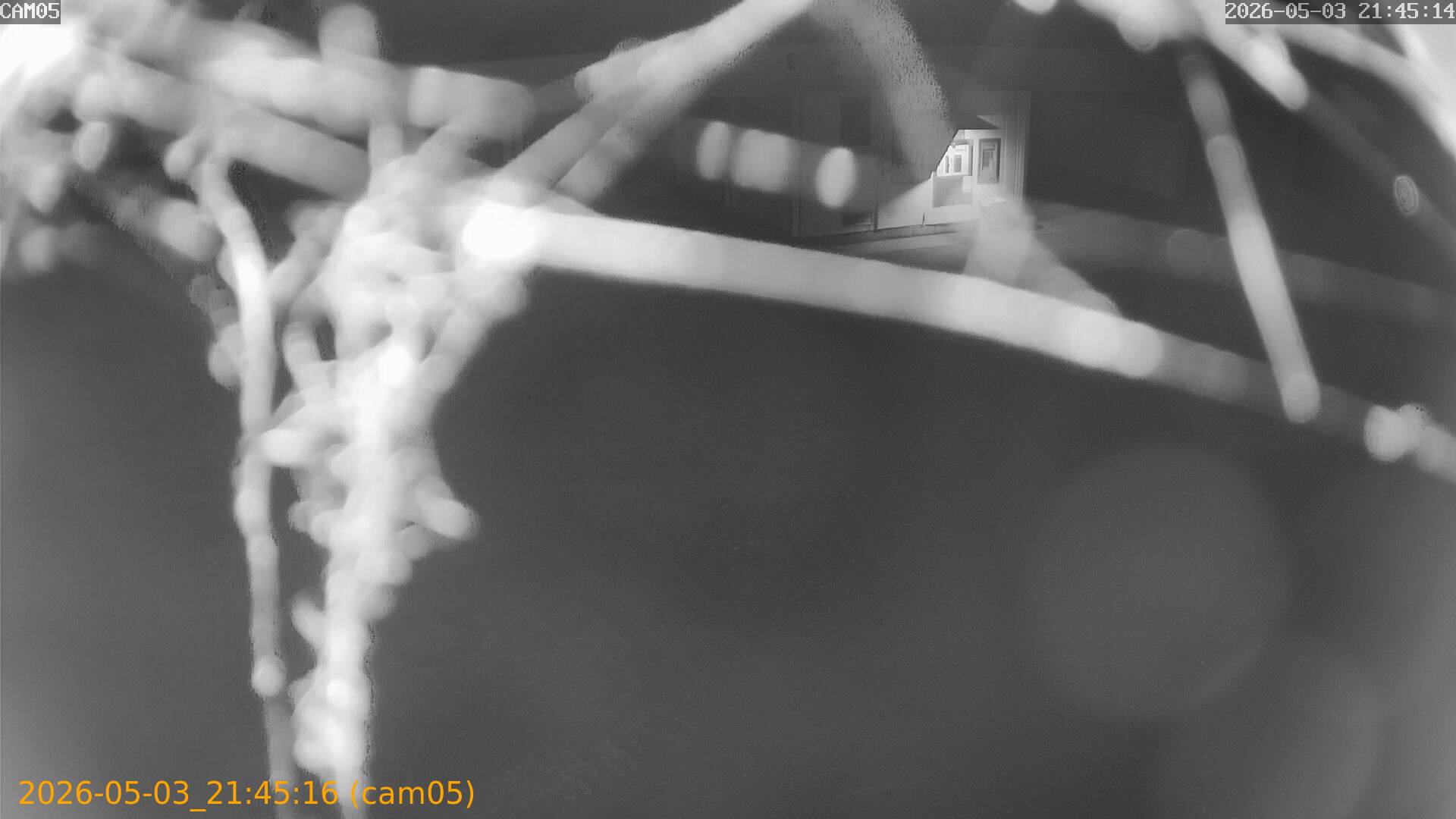 20260503214516