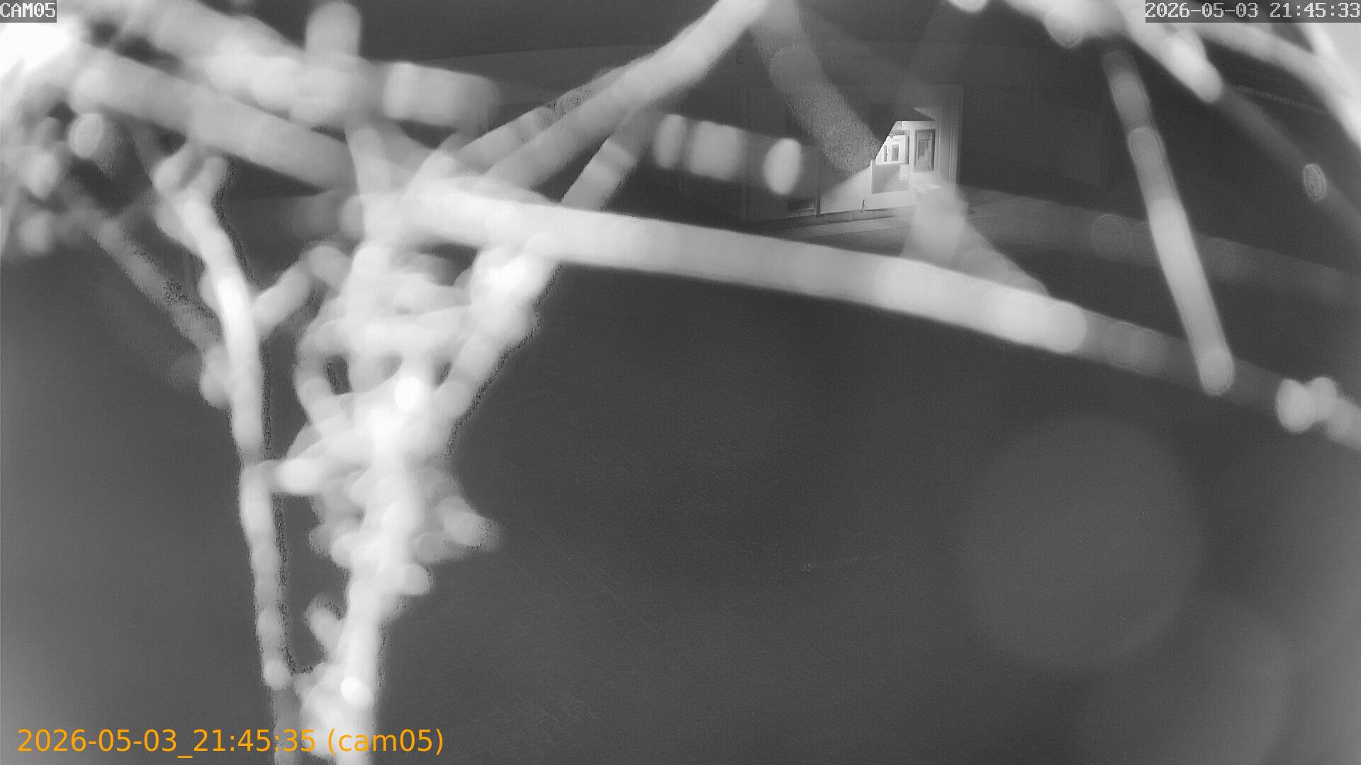 20260503214535