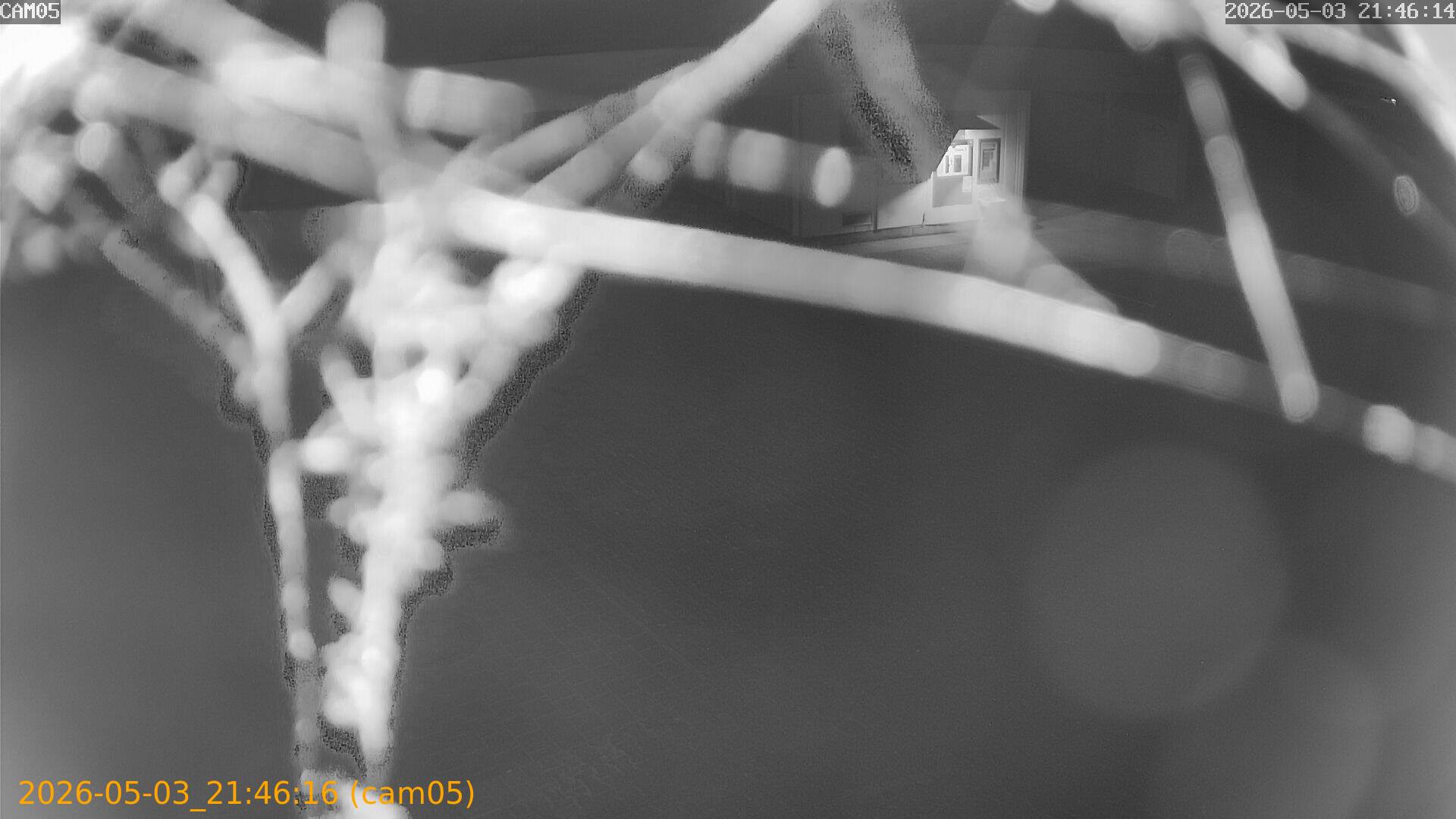 20260503214616