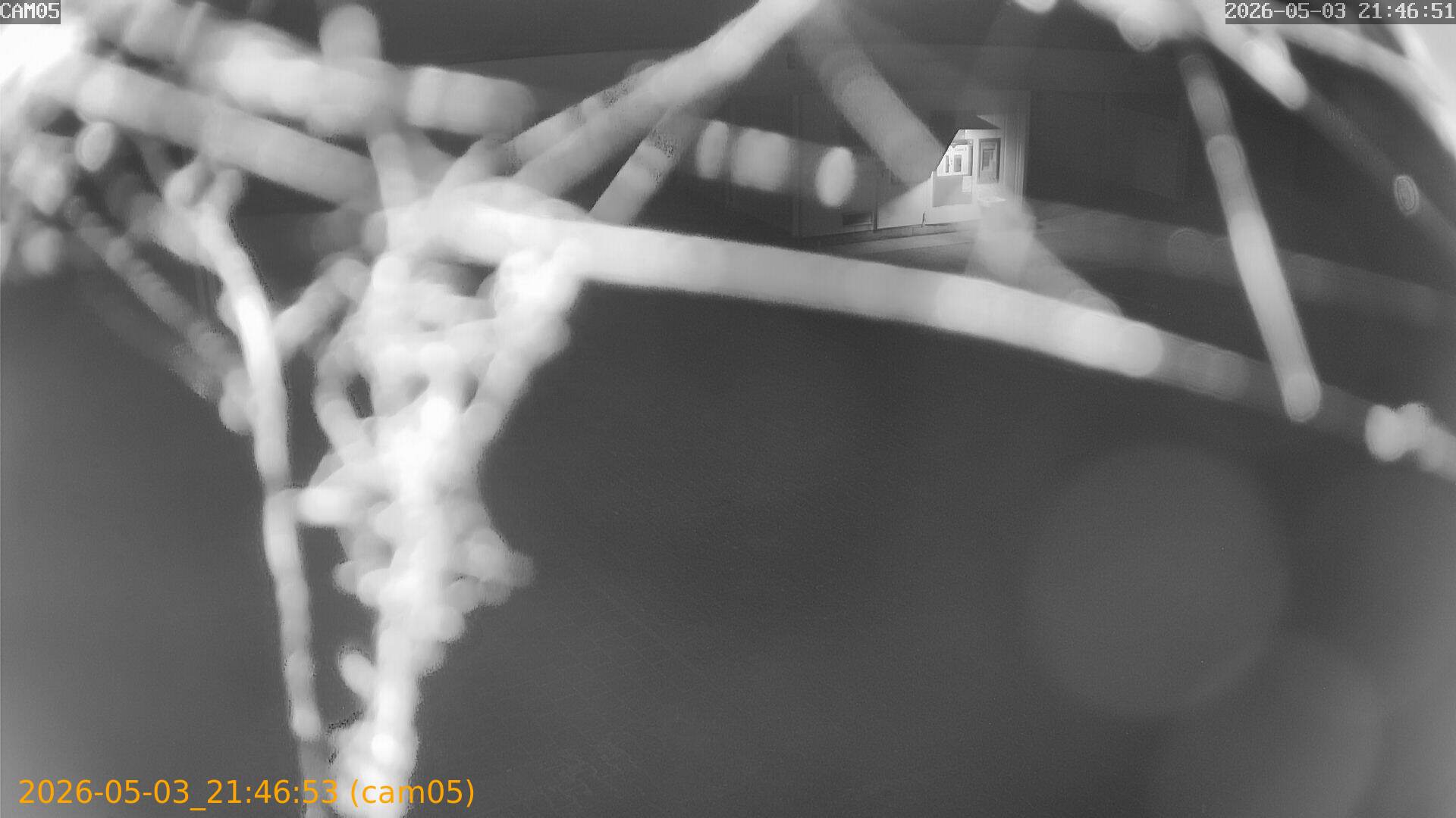 20260503214653