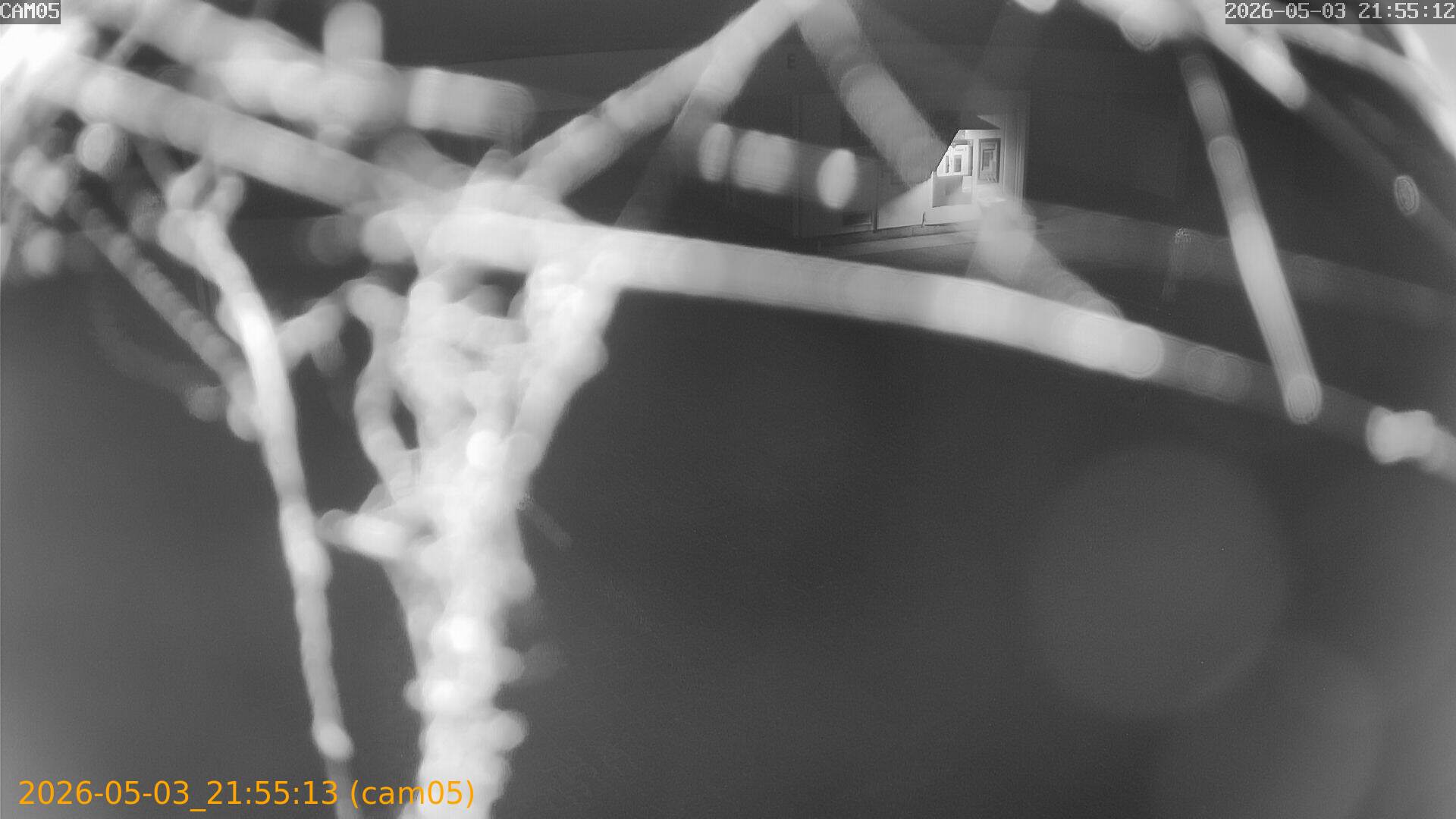 20260503215513