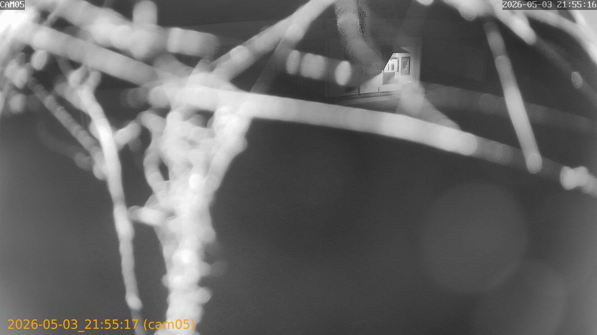 20260503215517