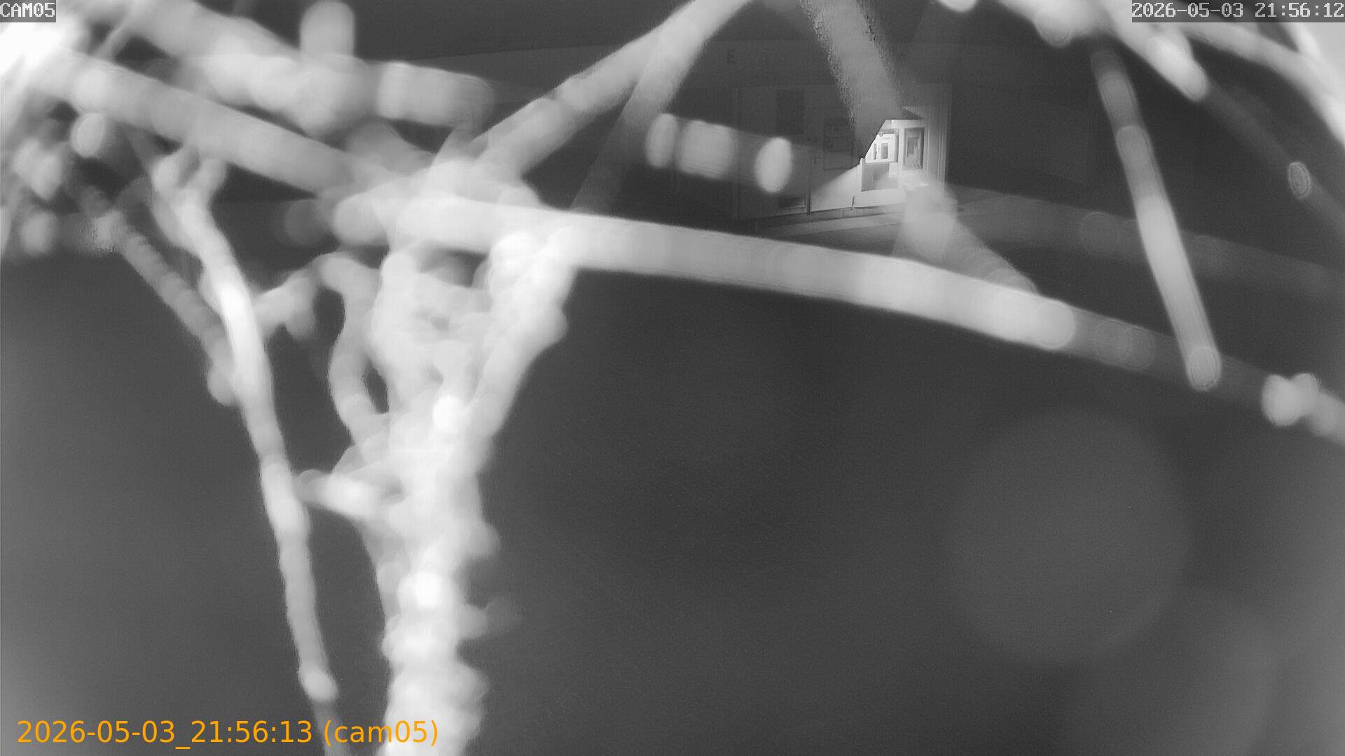 20260503215613