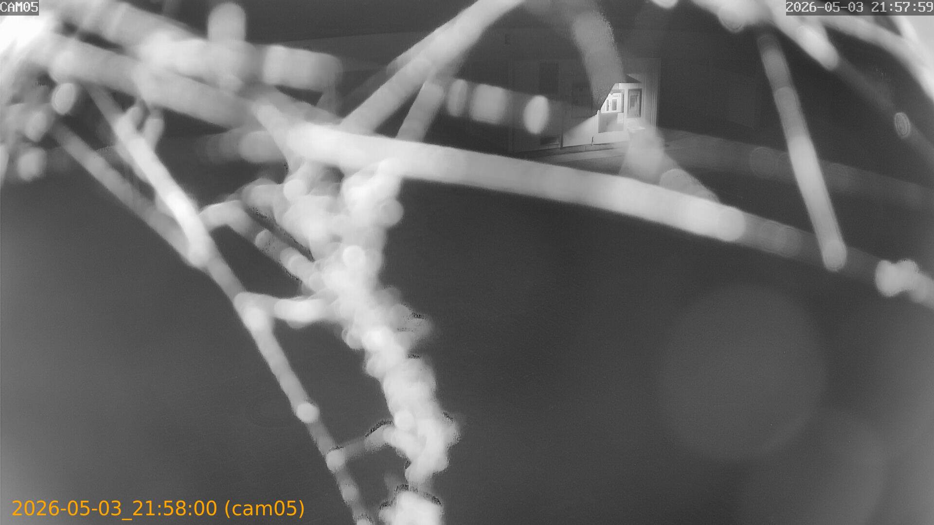20260503215800
