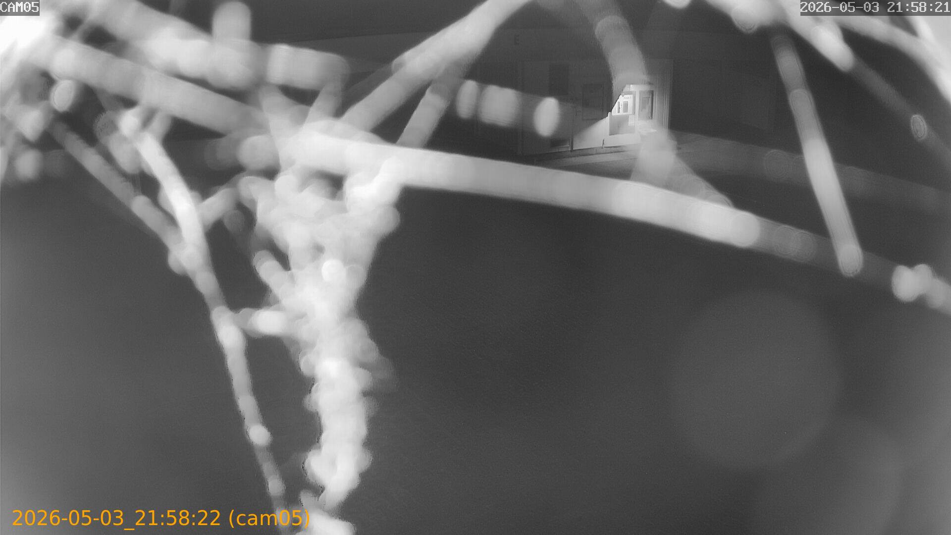 20260503215822