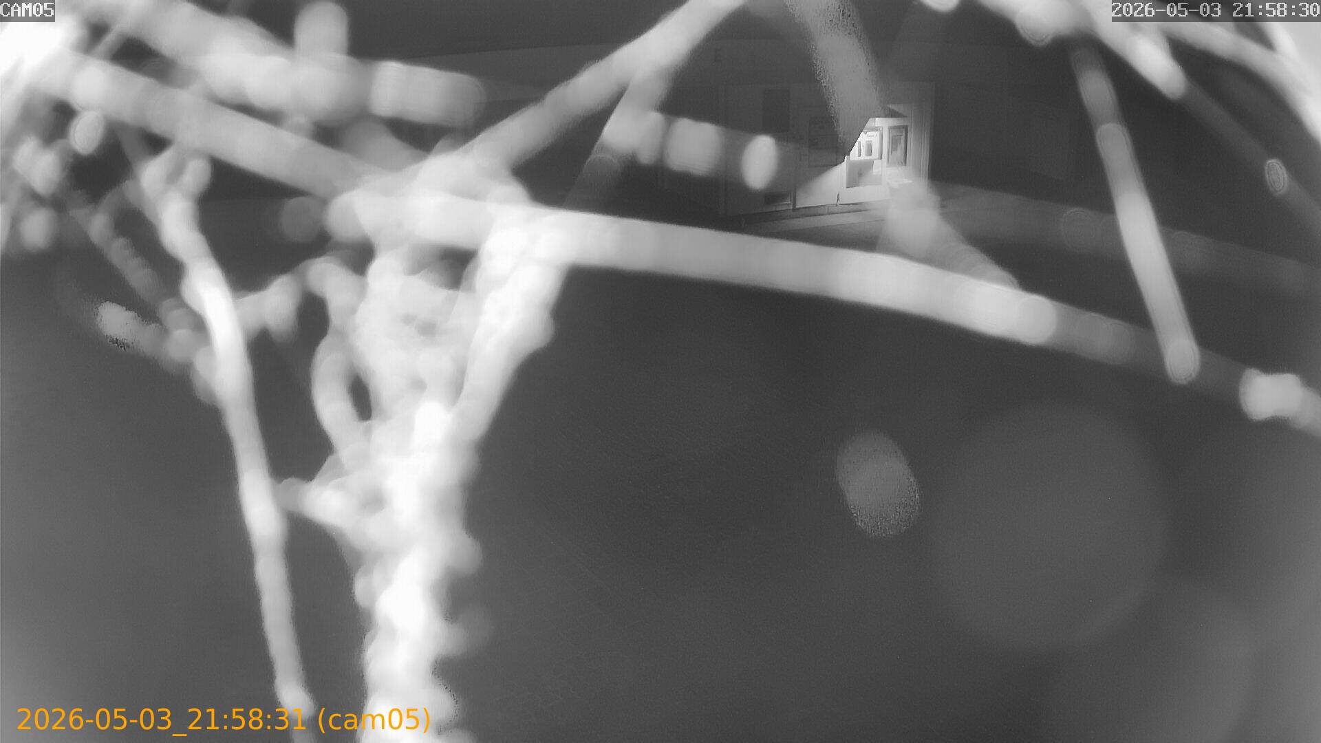 20260503215831