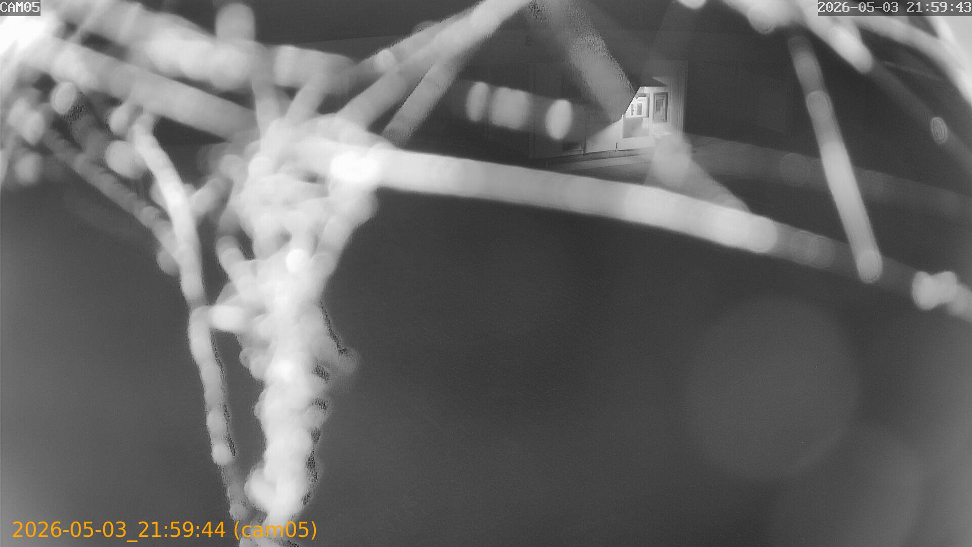thumbnail_20260503215944