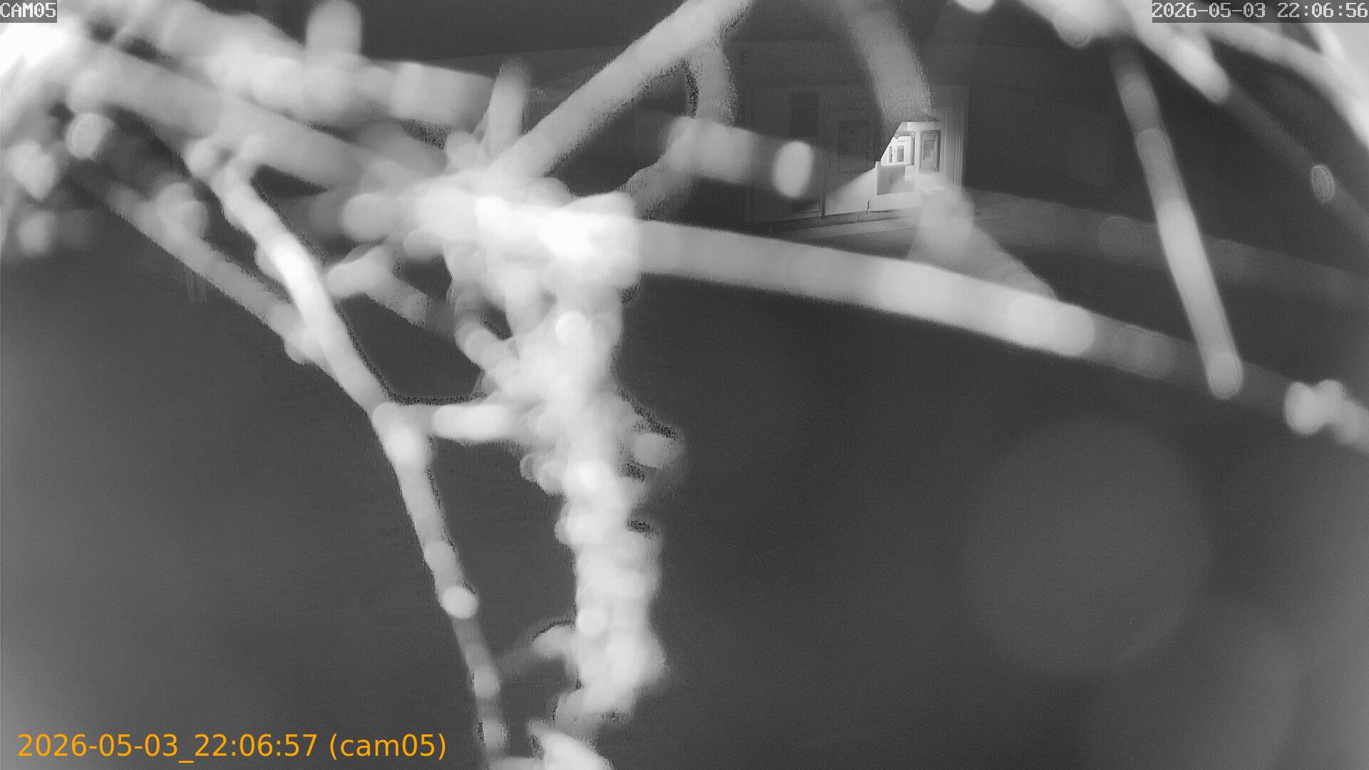 20260503220657