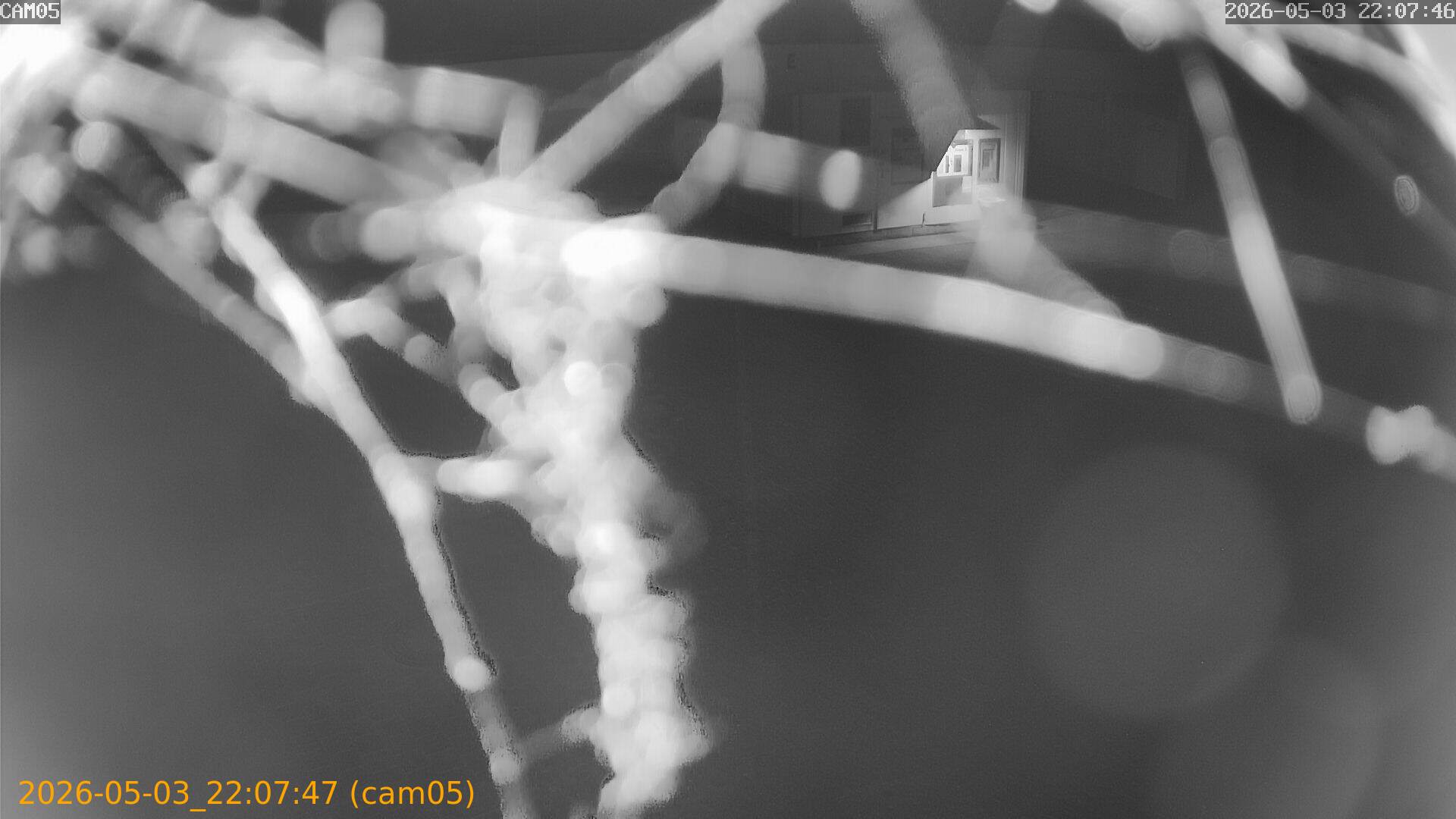 20260503220747