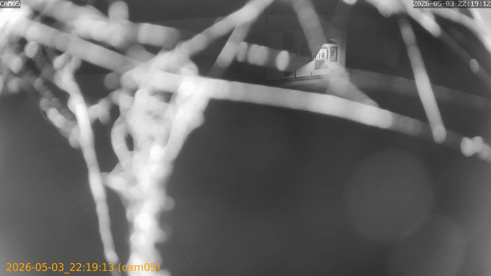 thumbnail_20260503221913