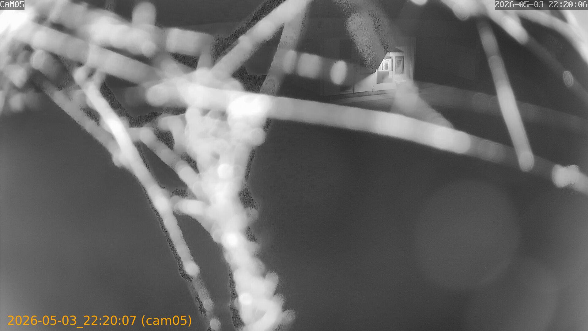 20260503222007