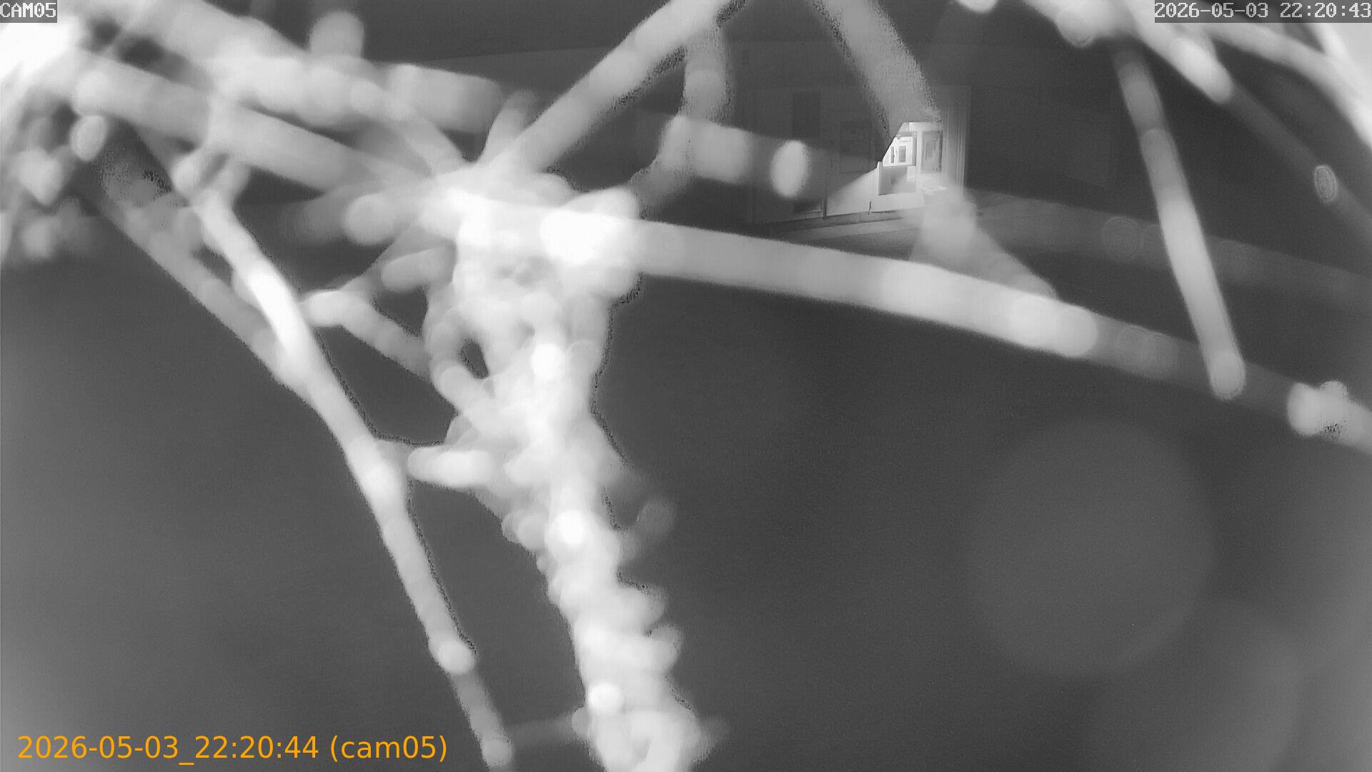 thumbnail_20260503222044