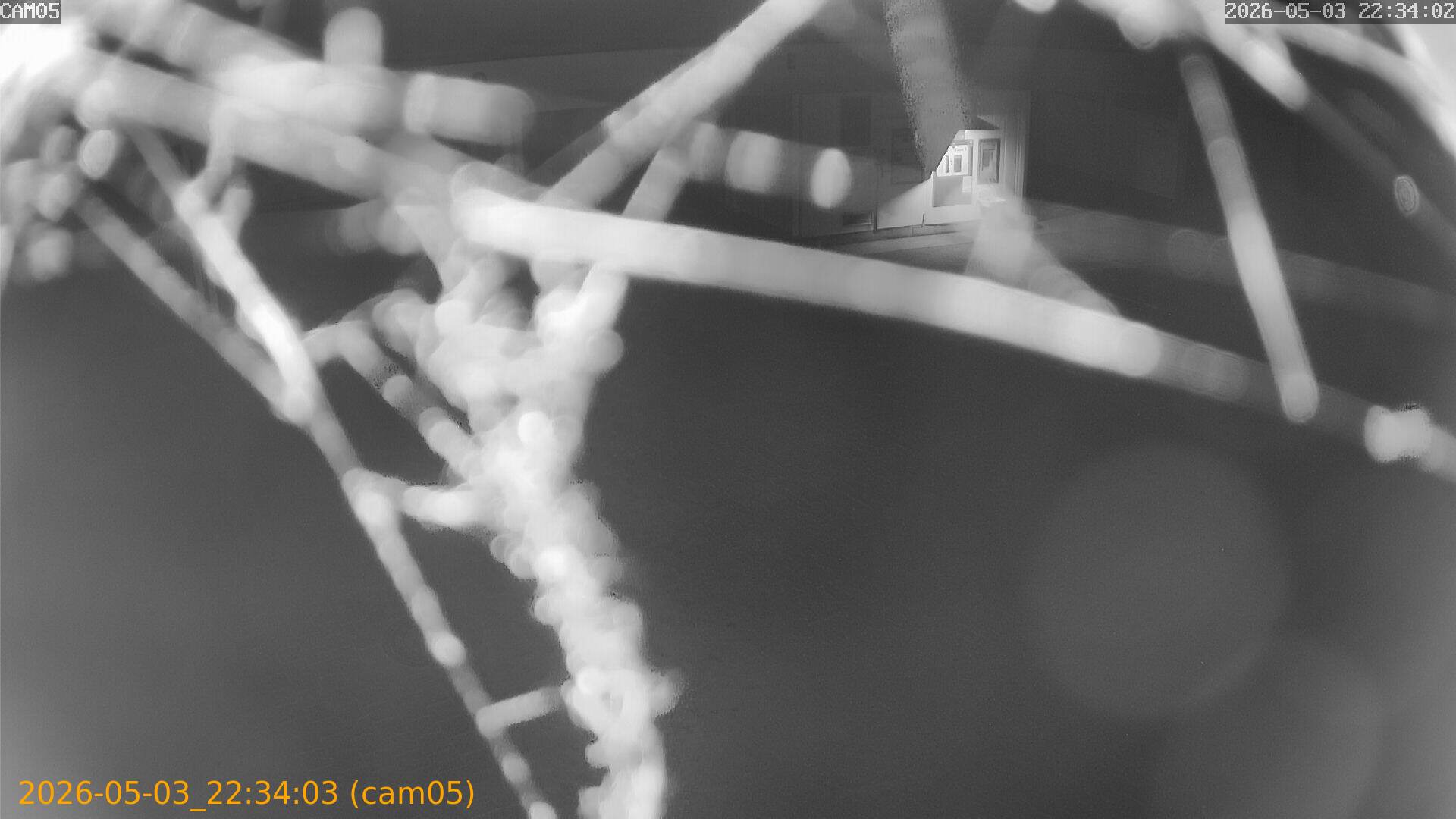 thumbnail_20260503223403