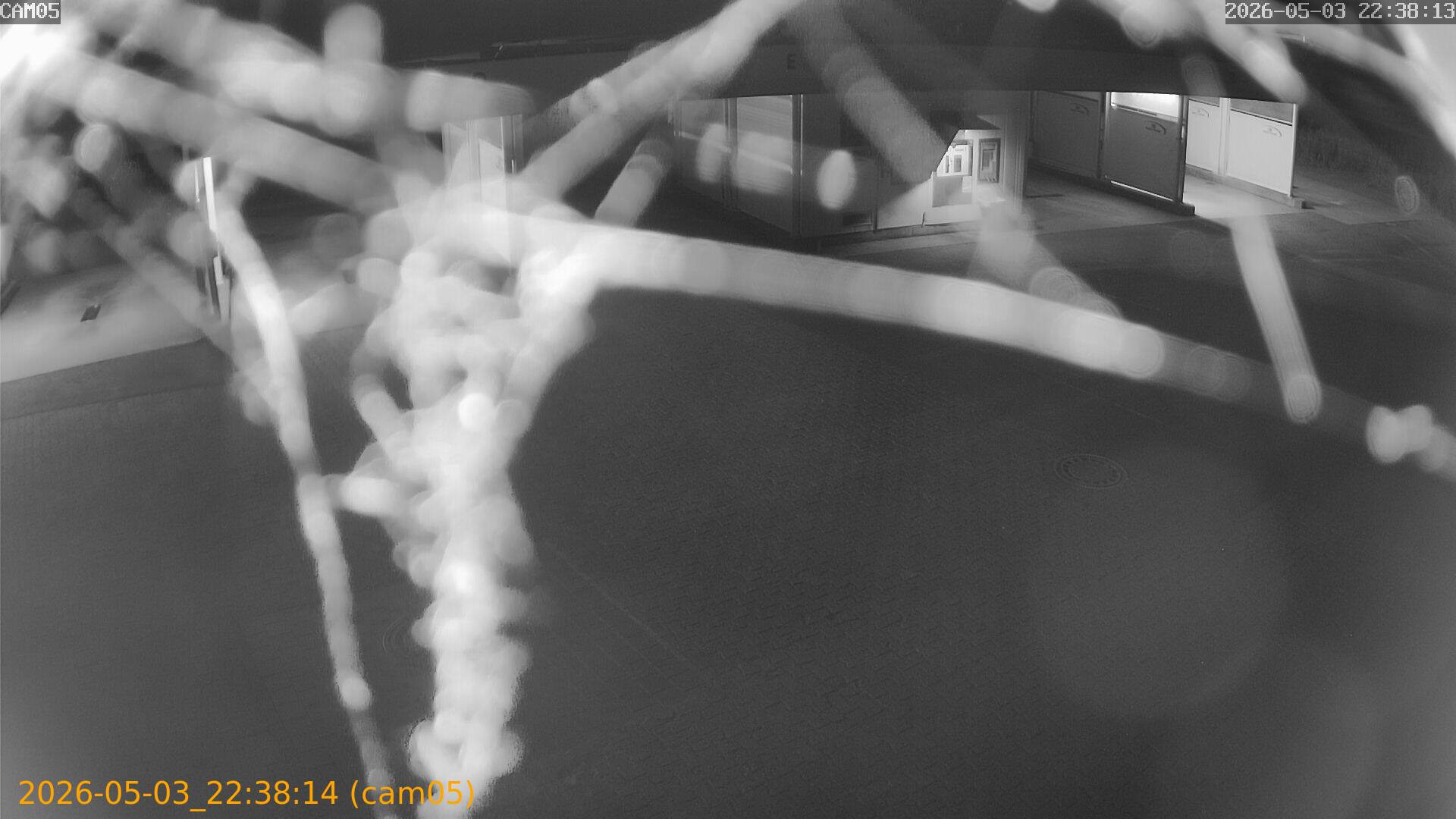 20260503223814