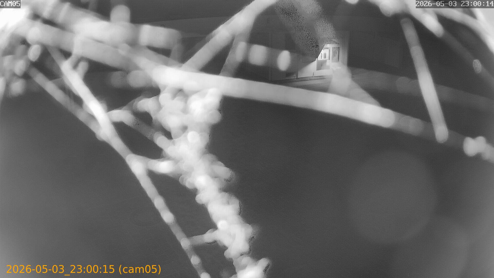 thumbnail_20260503230015