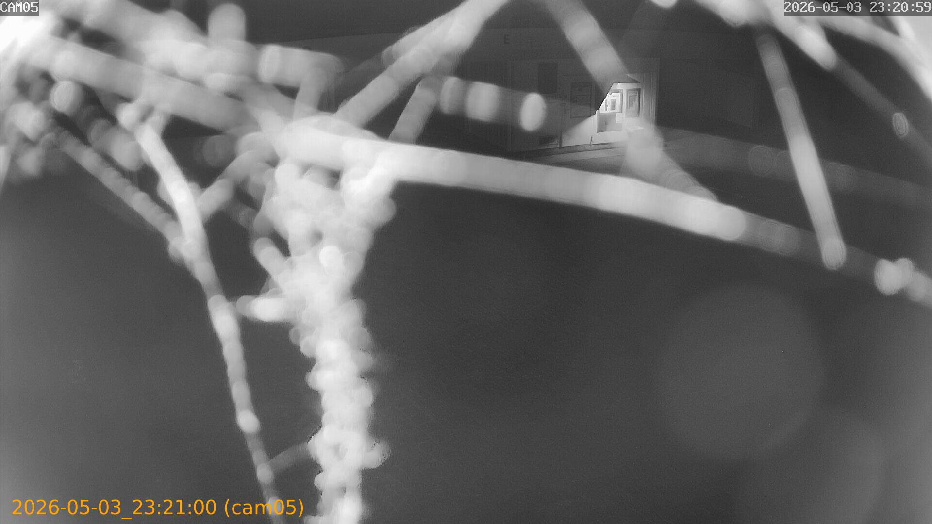 thumbnail_20260503232100