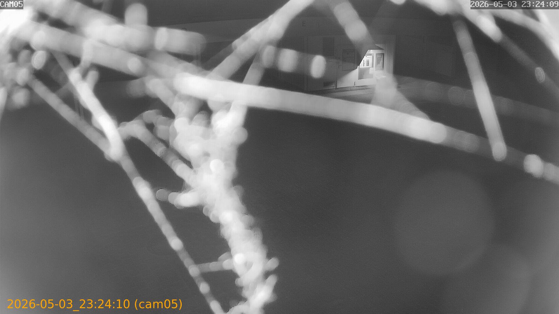 20260503232410