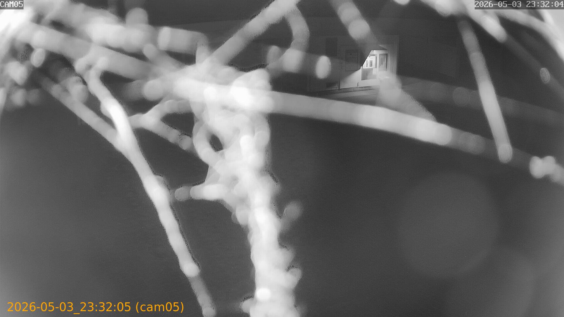 thumbnail_20260503233205
