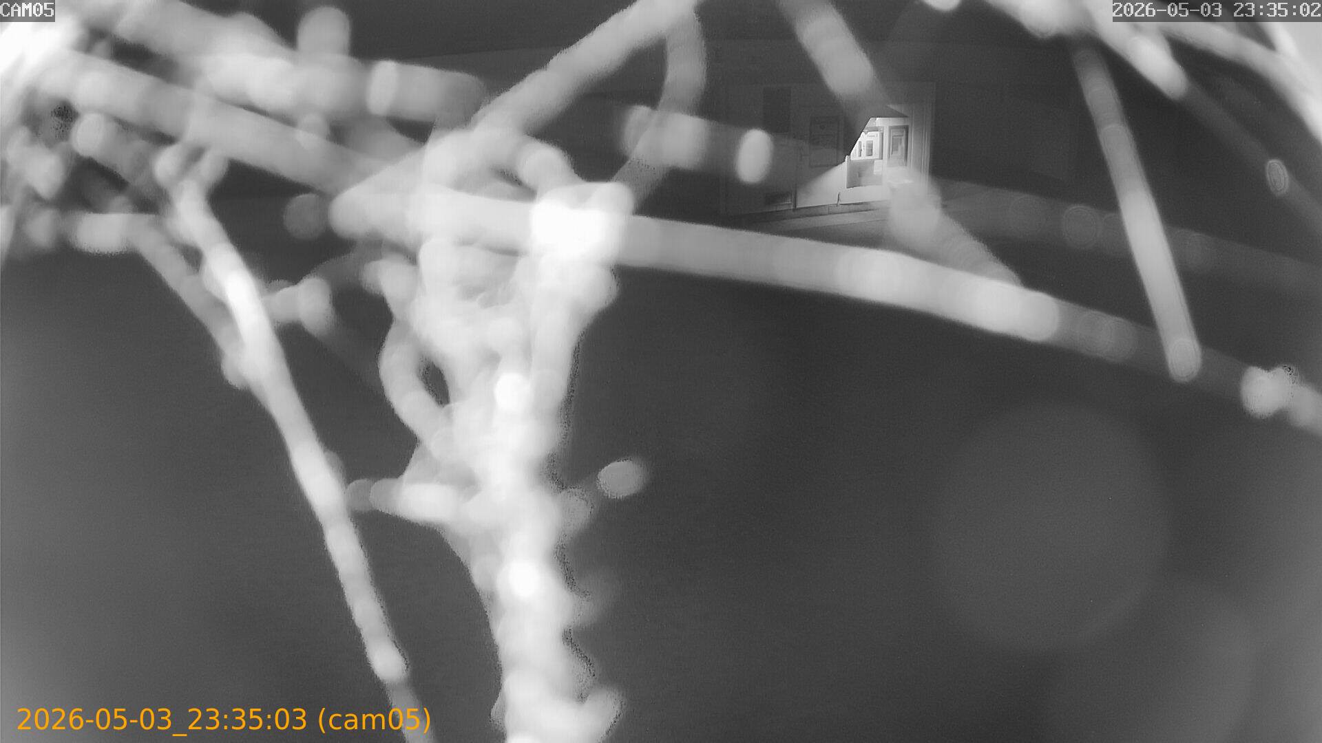 thumbnail_20260503233503
