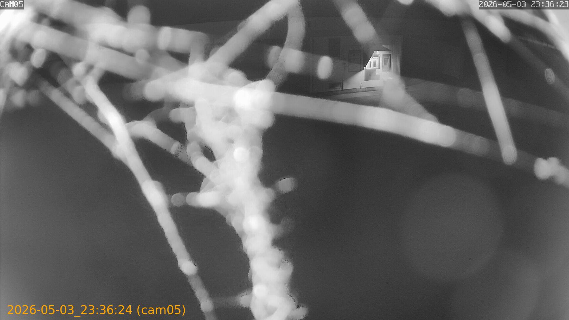 thumbnail_20260503233624