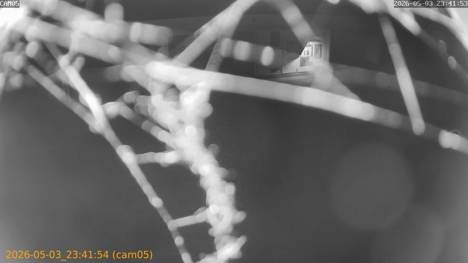 thumbnail_20260503234154