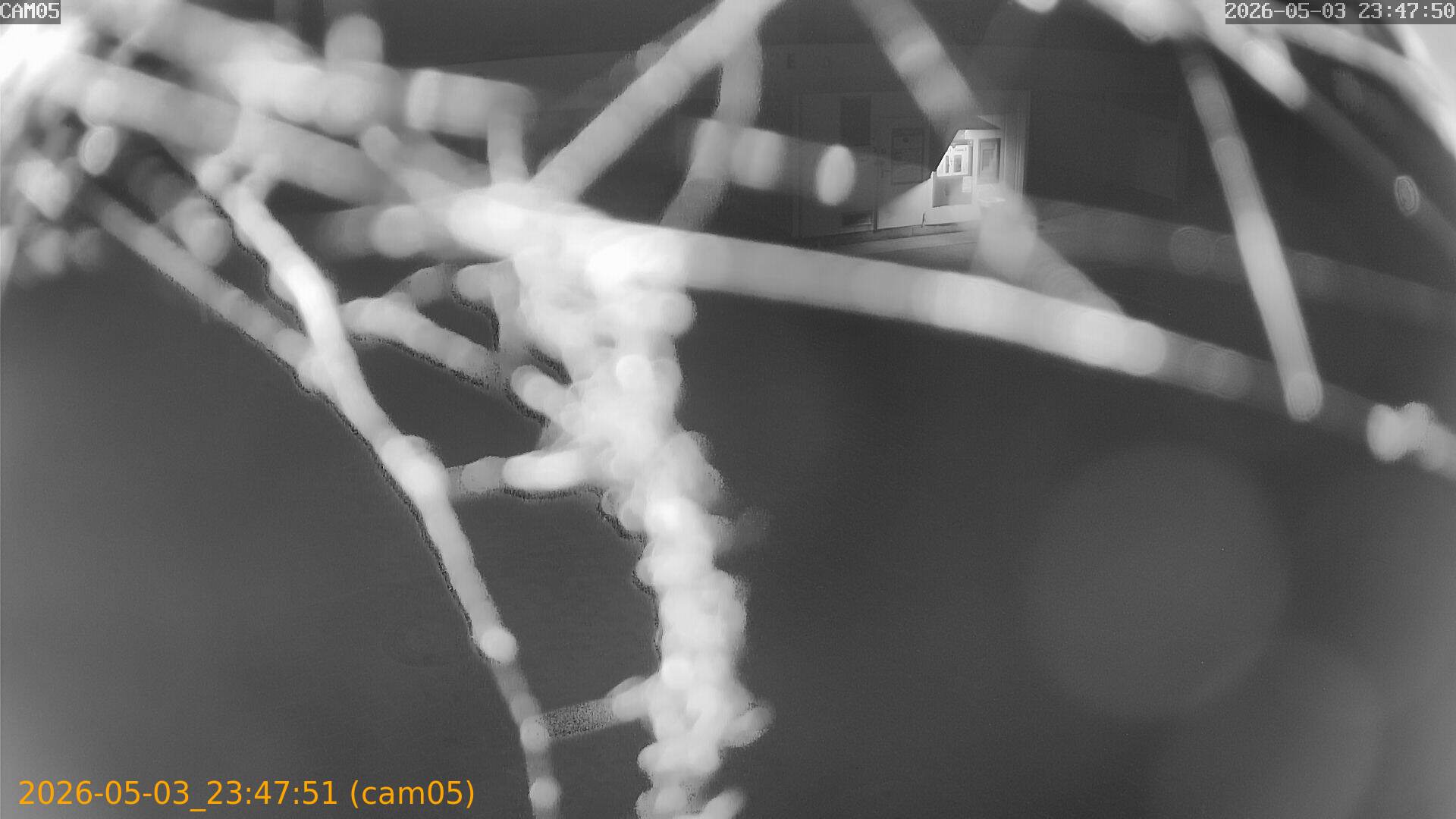 20260503234751