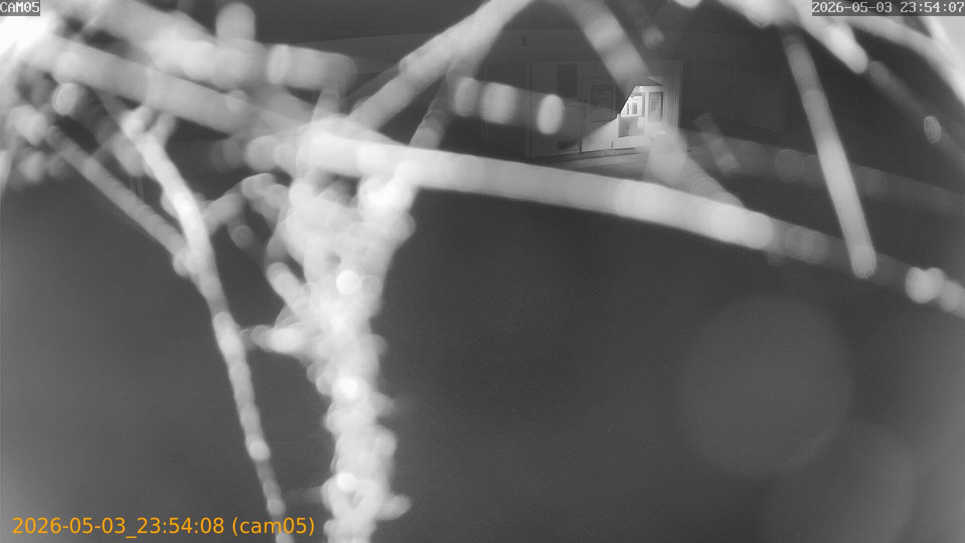 thumbnail_20260503235408